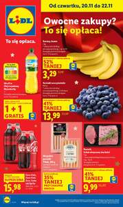 LIDL gazetka ważna od 20.11.2025 do 22.11.2025