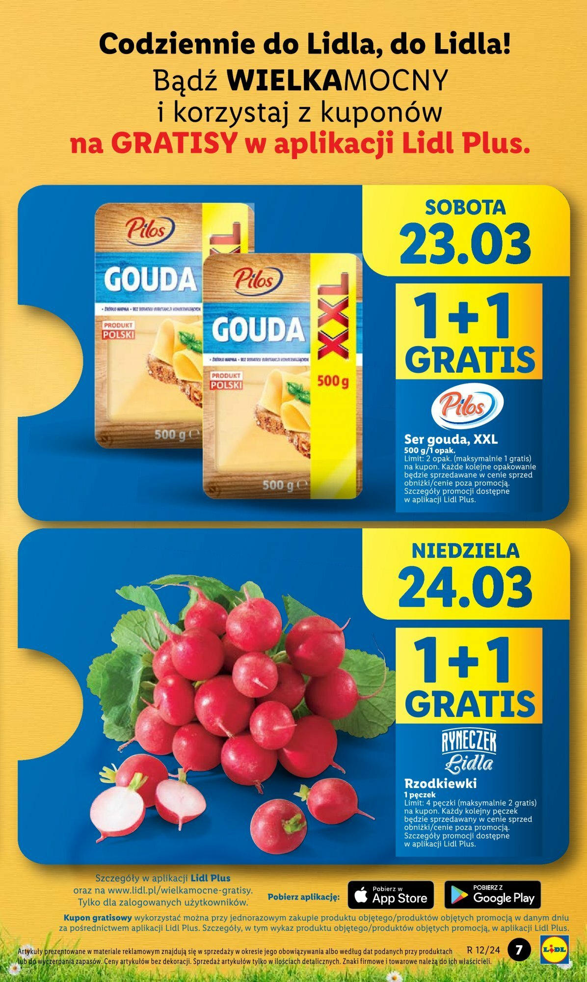 LIDL gazetka ważna od 21.03.2024 do 24.03.2024 strona 6