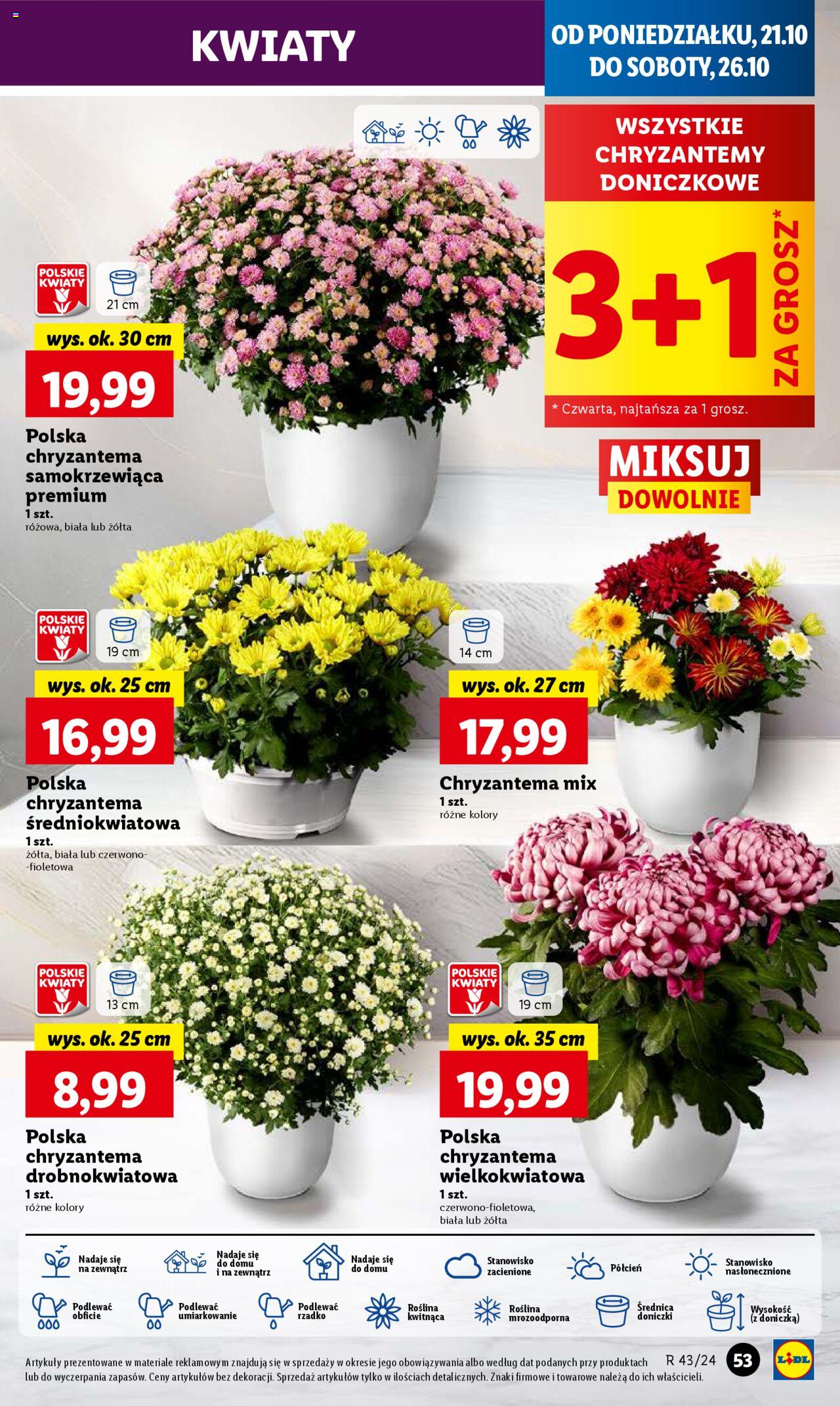 LIDL gazetka ważna od 21.10.2024 do 23.10.2024 strona 55