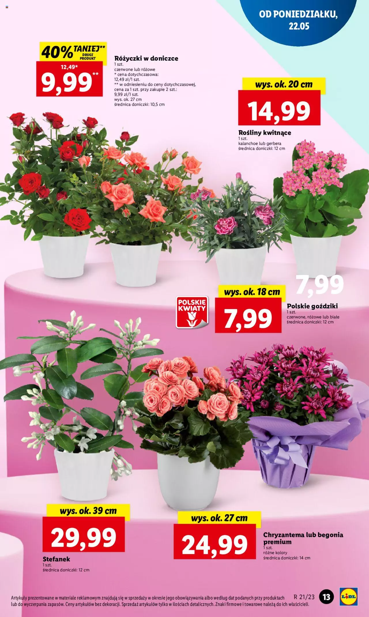 LIDL gazetka ważna od 22.05.2023 do 24.05.2023 strona 13