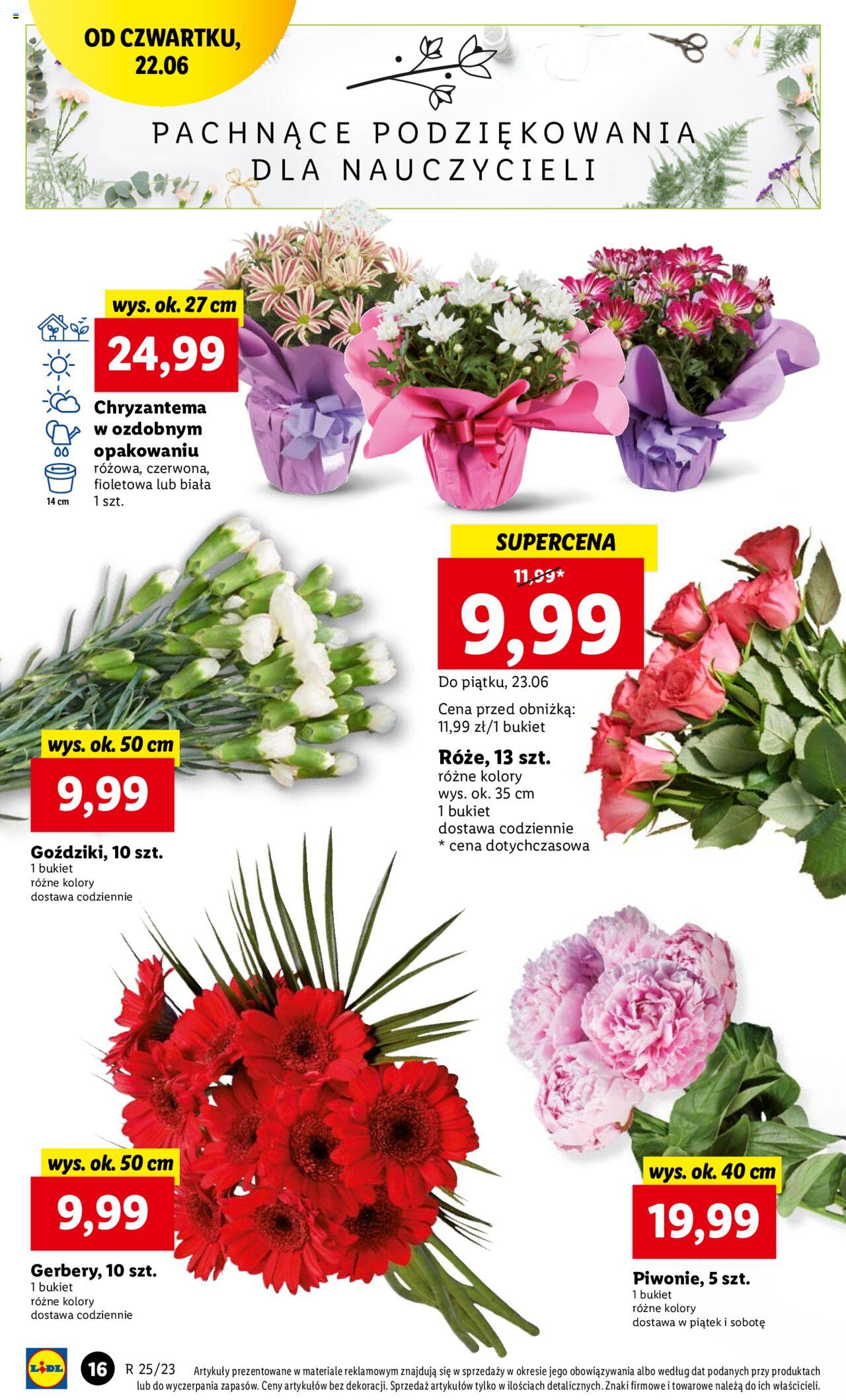 LIDL gazetka ważna od 22.06.2023 do 25.06.2023 strona 20