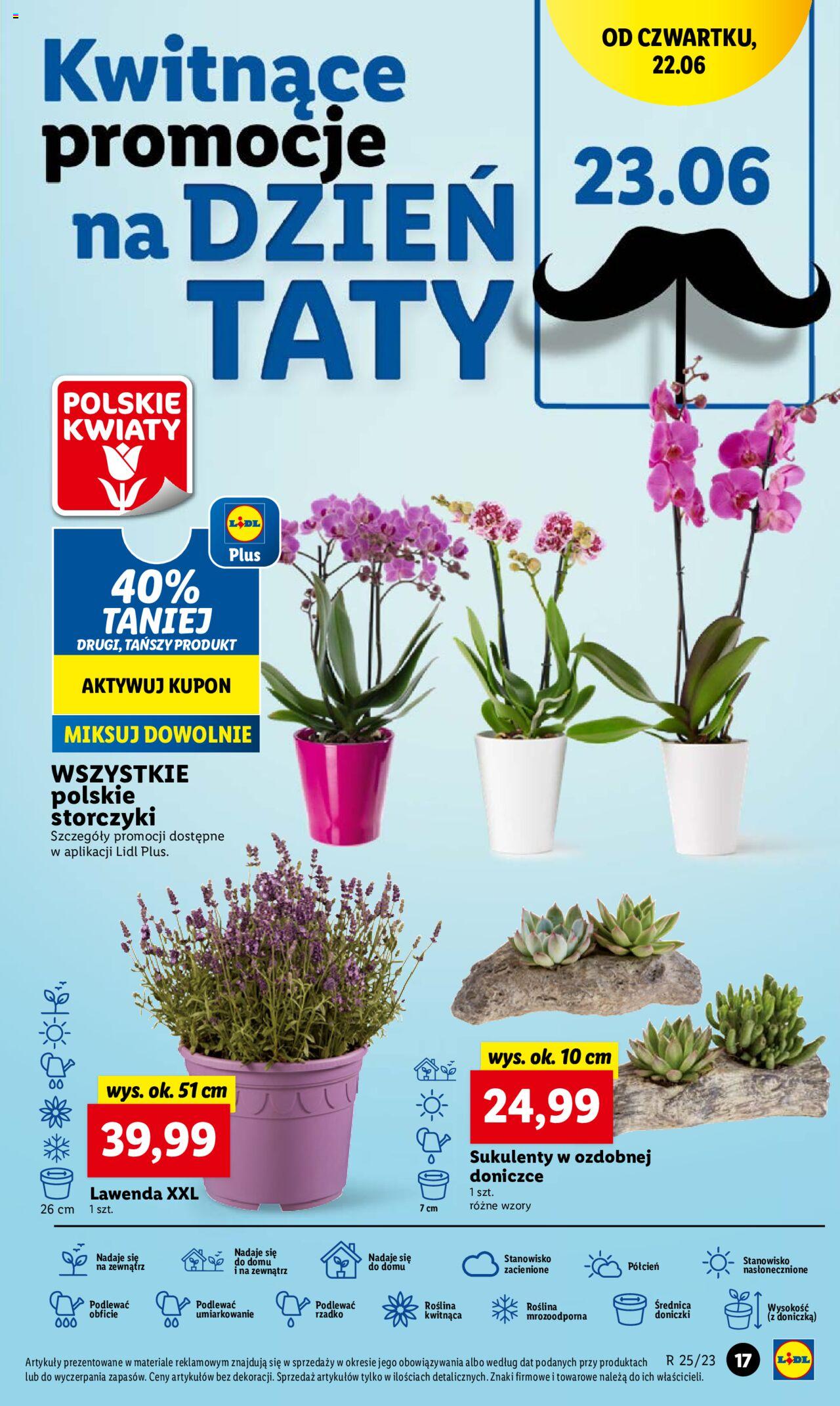 LIDL gazetka ważna od 22.06.2023 do 25.06.2023 strona 21