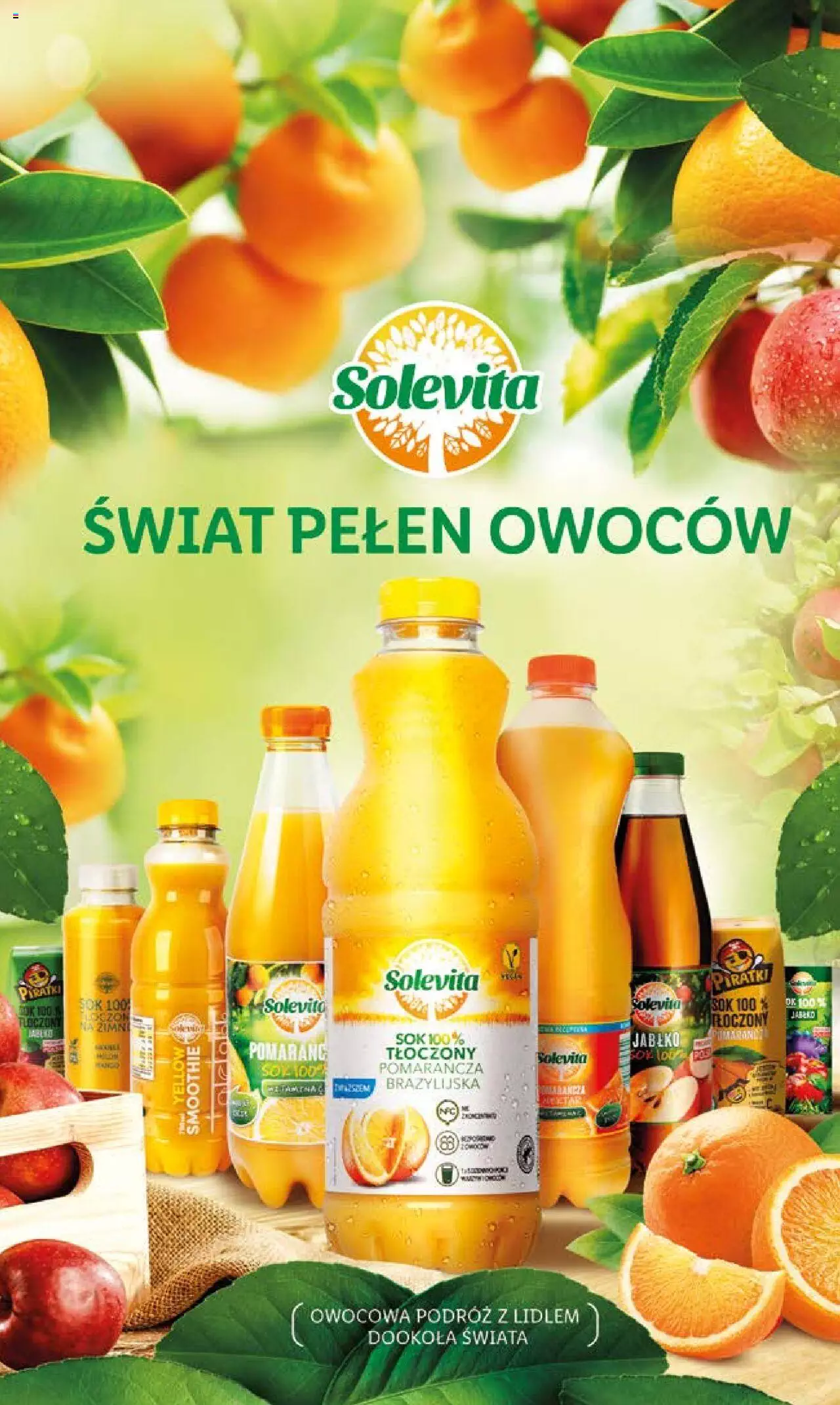 Lidl gazetka ważna od 22.08.2022 do 24.08.2022 strona 62