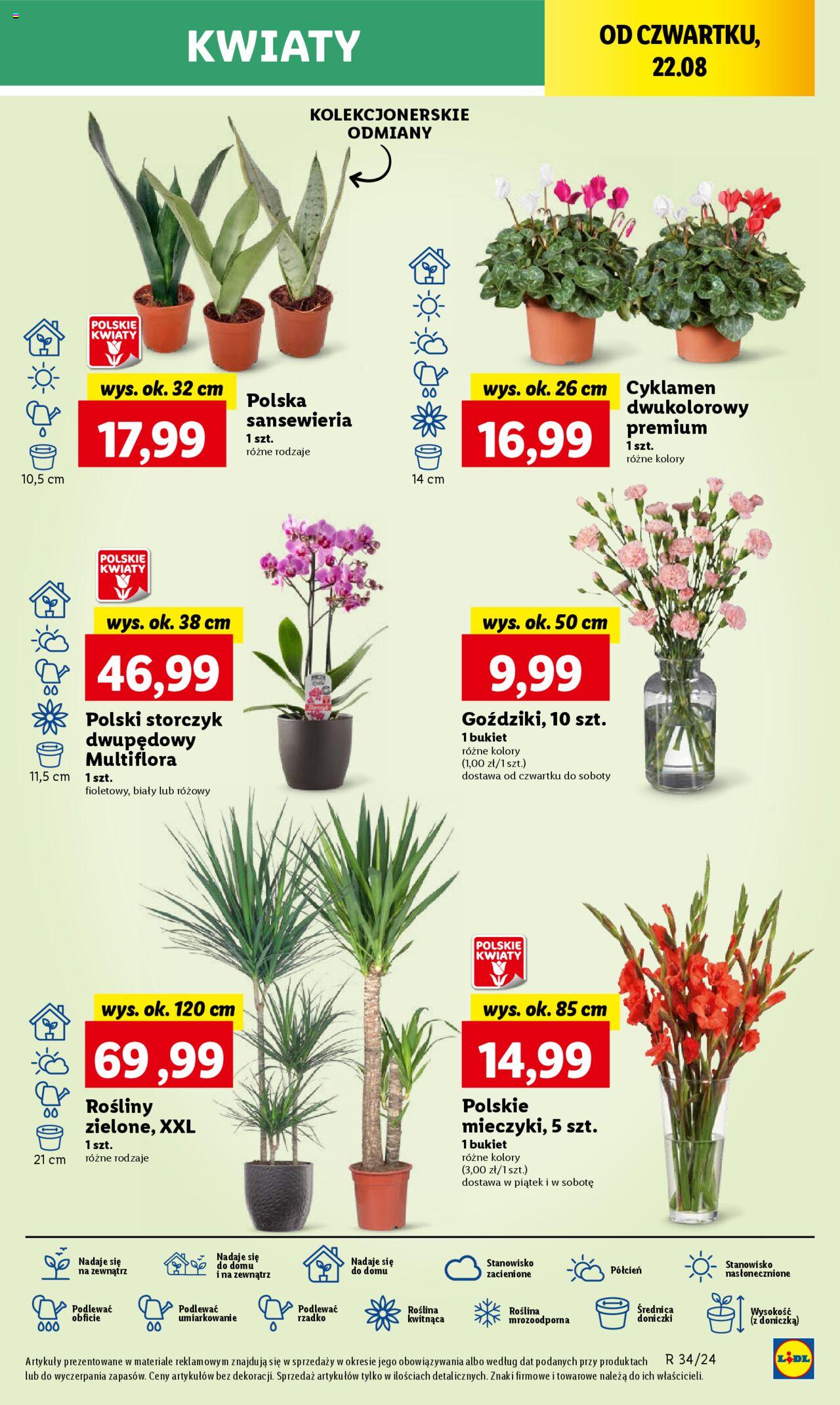 LIDL gazetka ważna od 22.08.2024 do 25.08.2024 strona 38