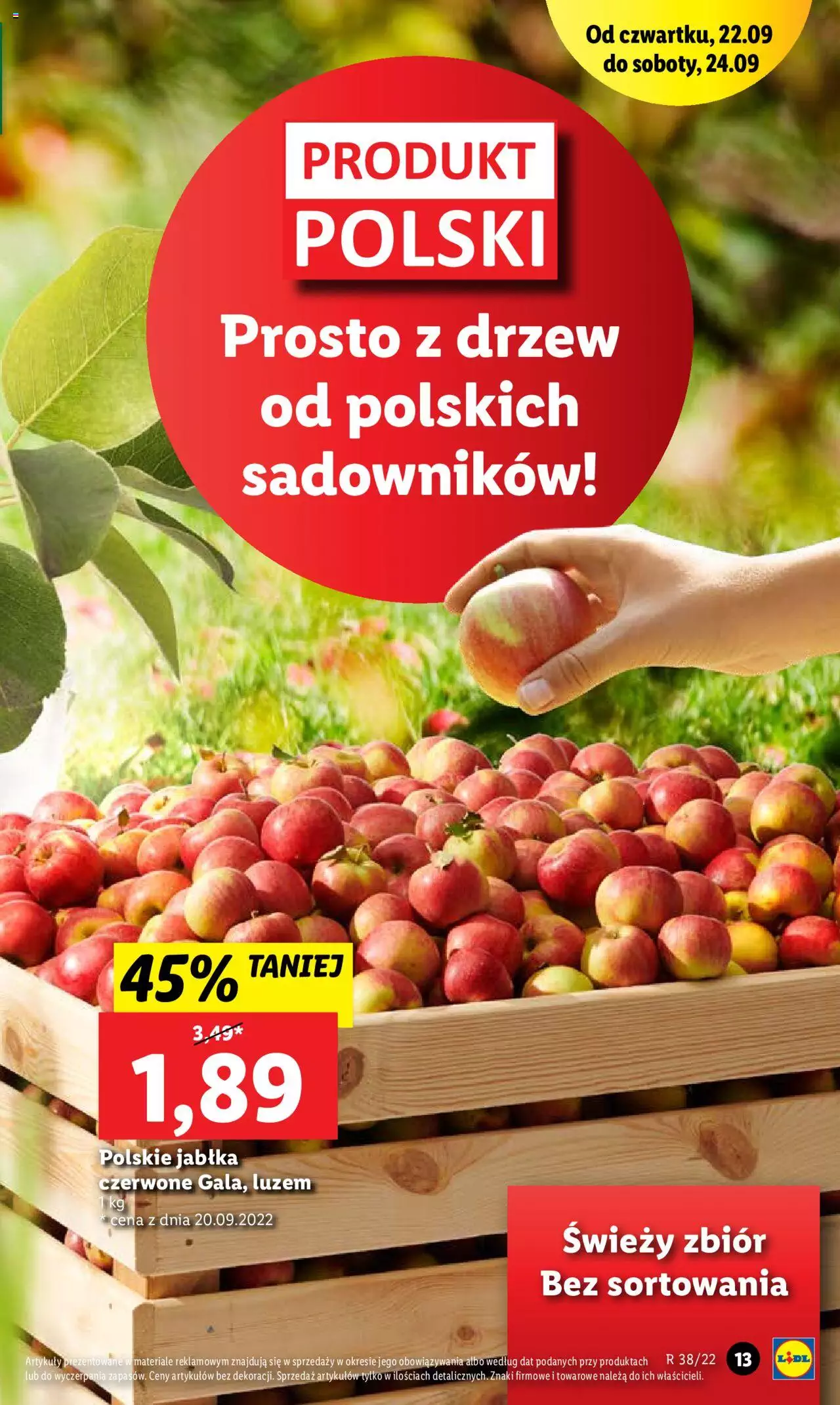 Lidl gazetka ważna od 22.09.2022 do 24.09.2022 strona 13