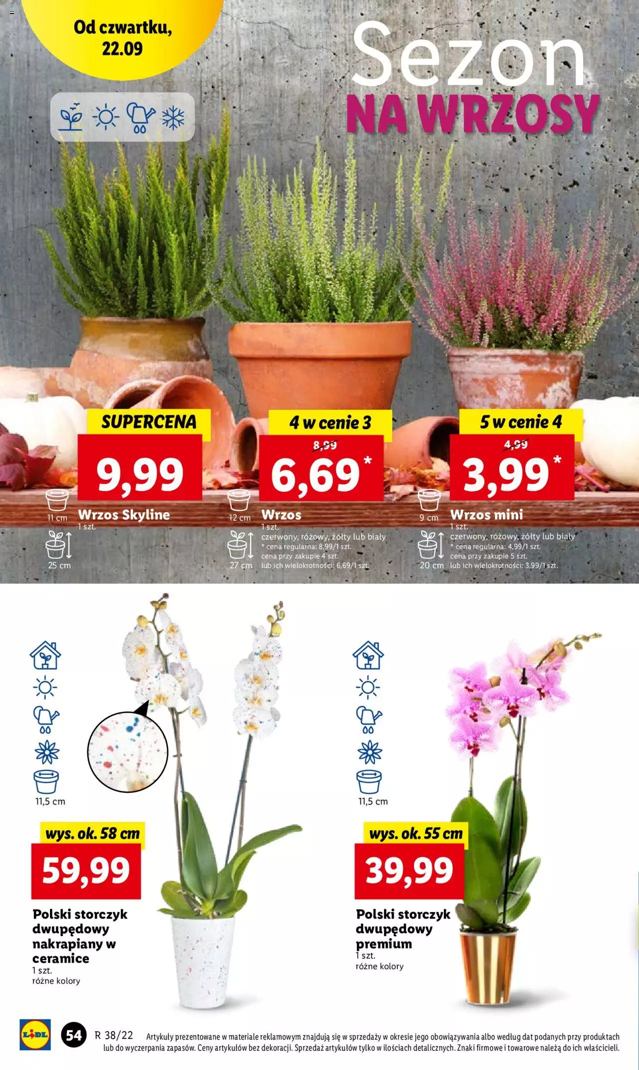Lidl gazetka ważna od 22.09.2022 do 24.09.2022 strona 51