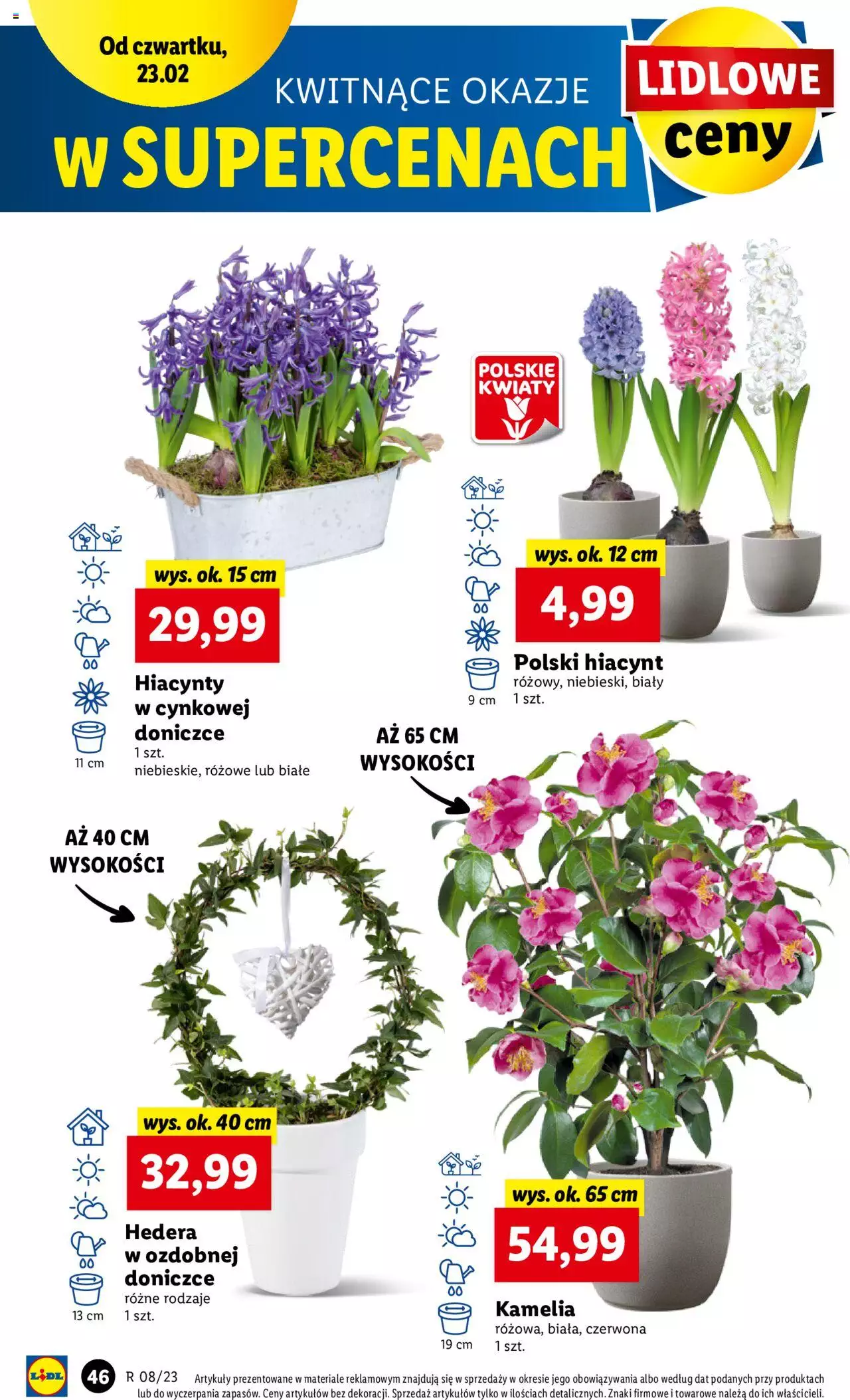 LIDL gazetka ważna od 23.02.2023 do 25.02.2023 strona 46