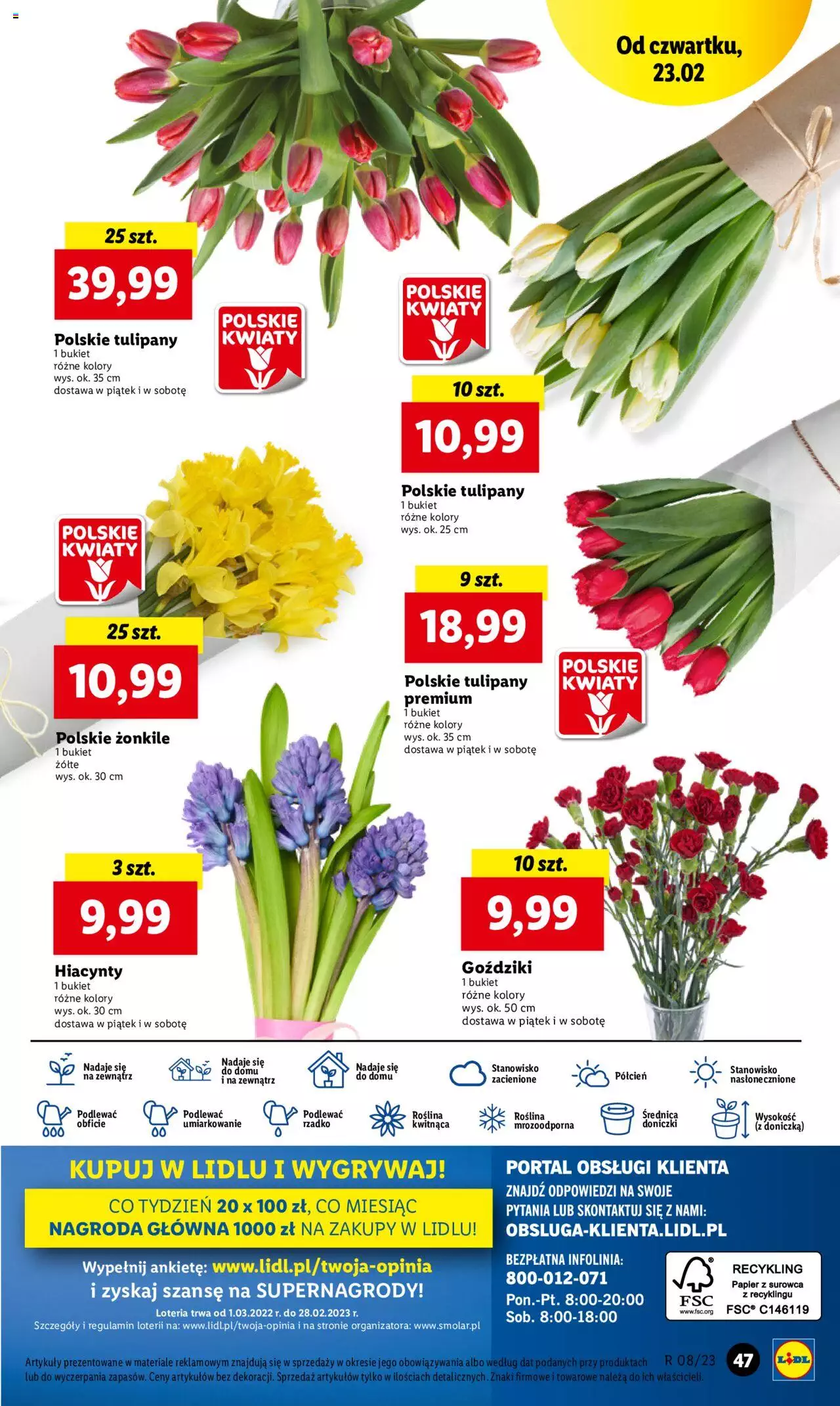 LIDL gazetka ważna od 23.02.2023 do 25.02.2023 strona 47