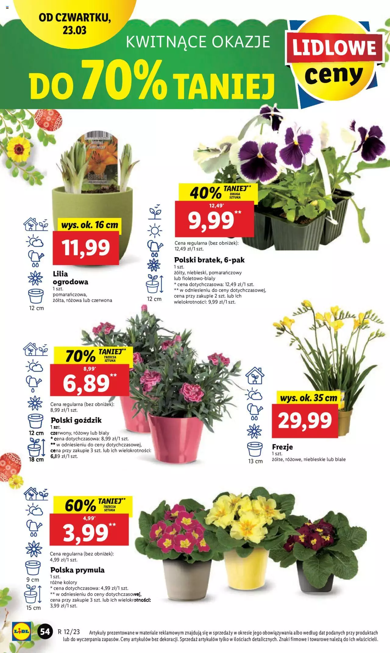 LIDL gazetka ważna od 23.03.2023 do 25.03.2023 strona 62