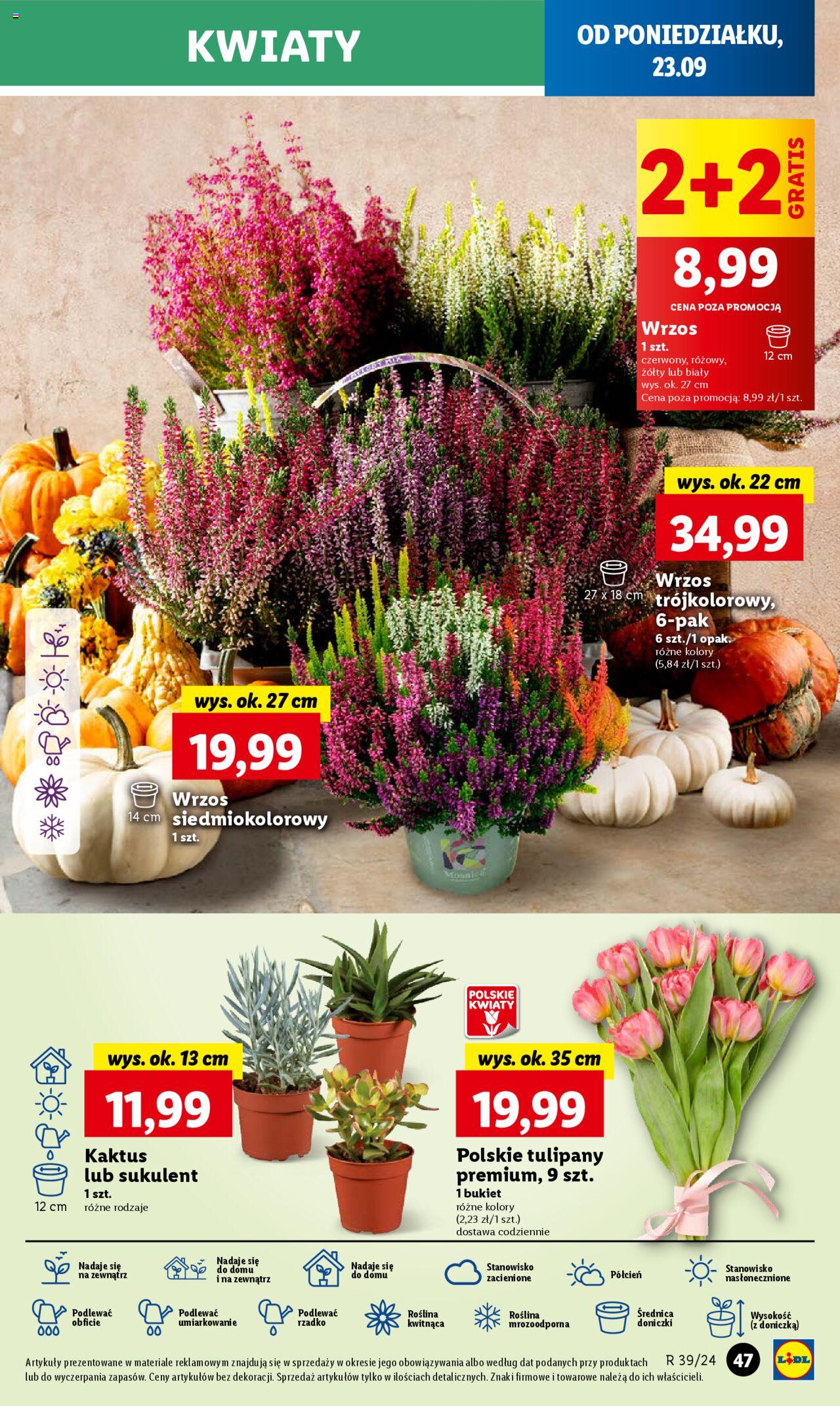 LIDL gazetka ważna od 23.09.2024 do 25.09.2024 strona 53