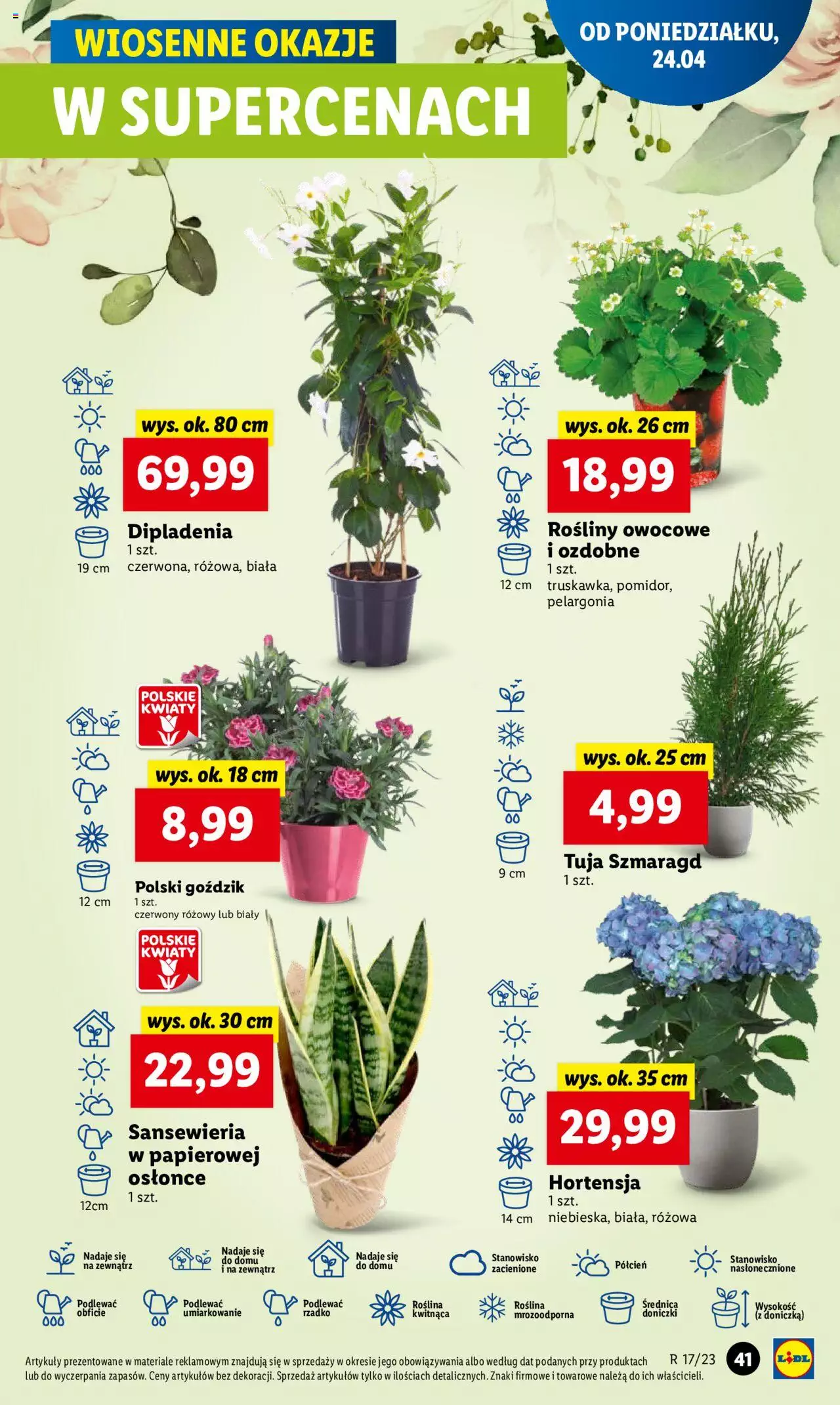 LIDL gazetka ważna od 24.04.2023 do 26.04.2023 strona 51