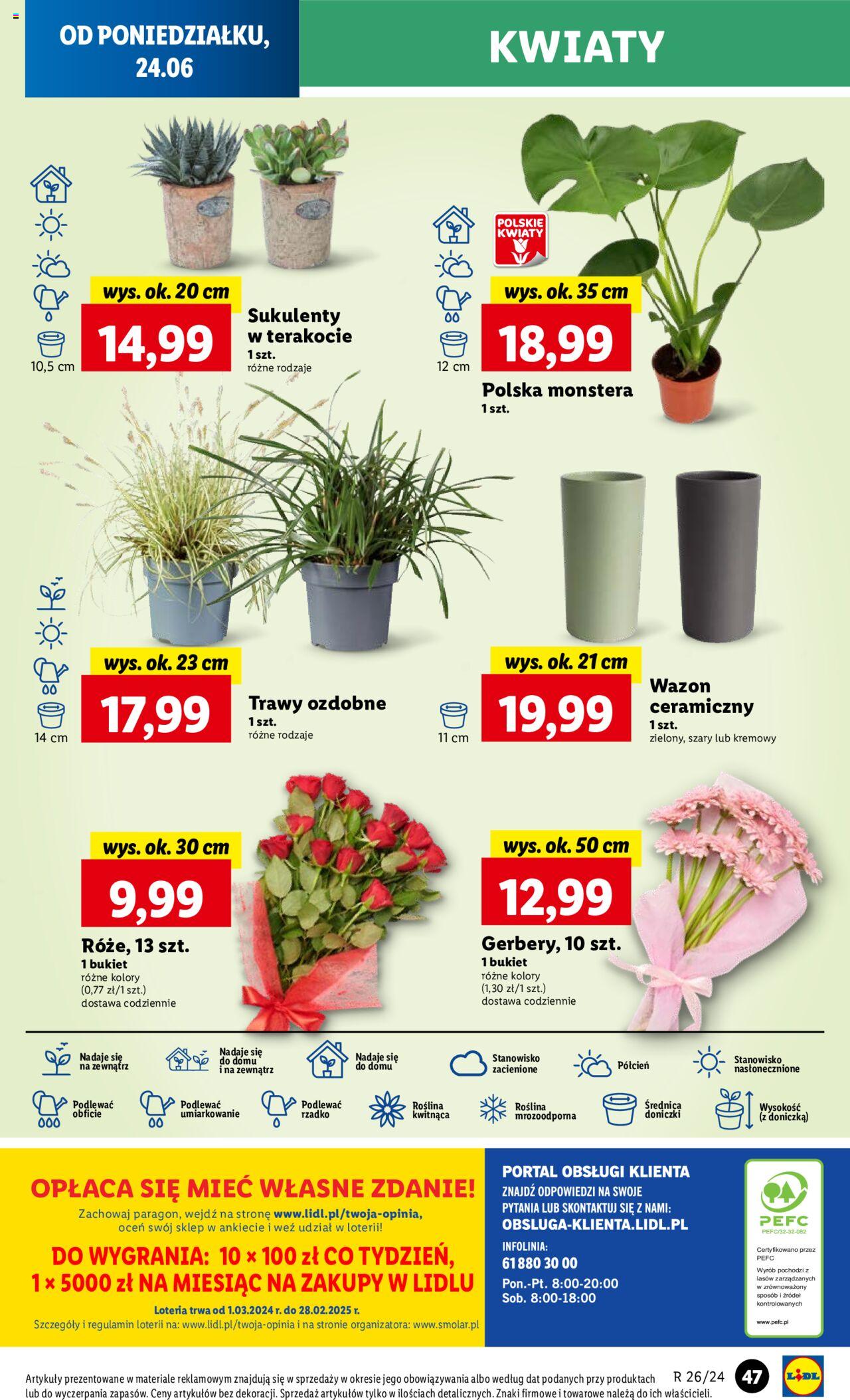 LIDL gazetka ważna od 24.06.2024 do 26.06.2024 strona 48