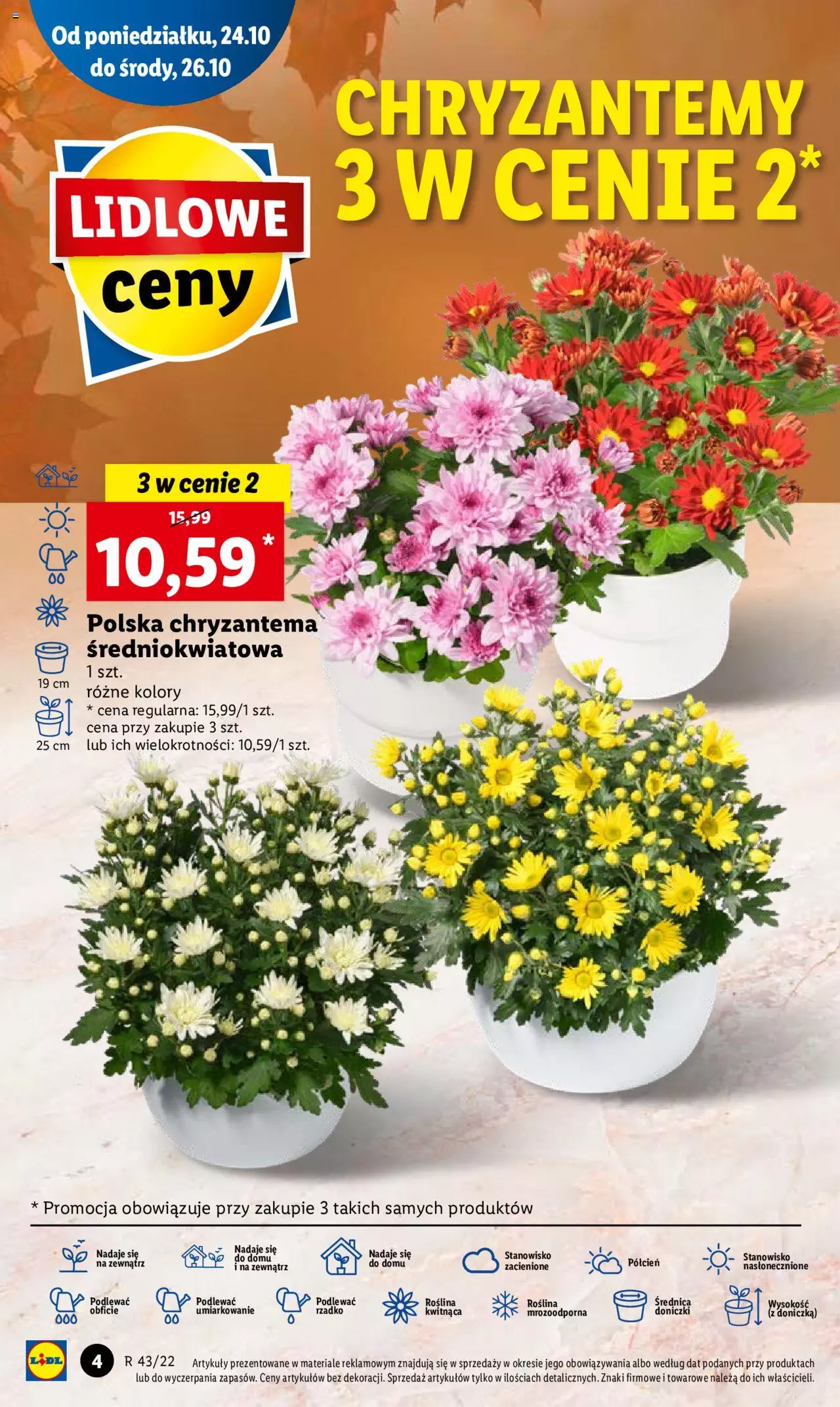 Lidl gazetka ważna od 24.10.2022 do 26.10.2022 strona 4