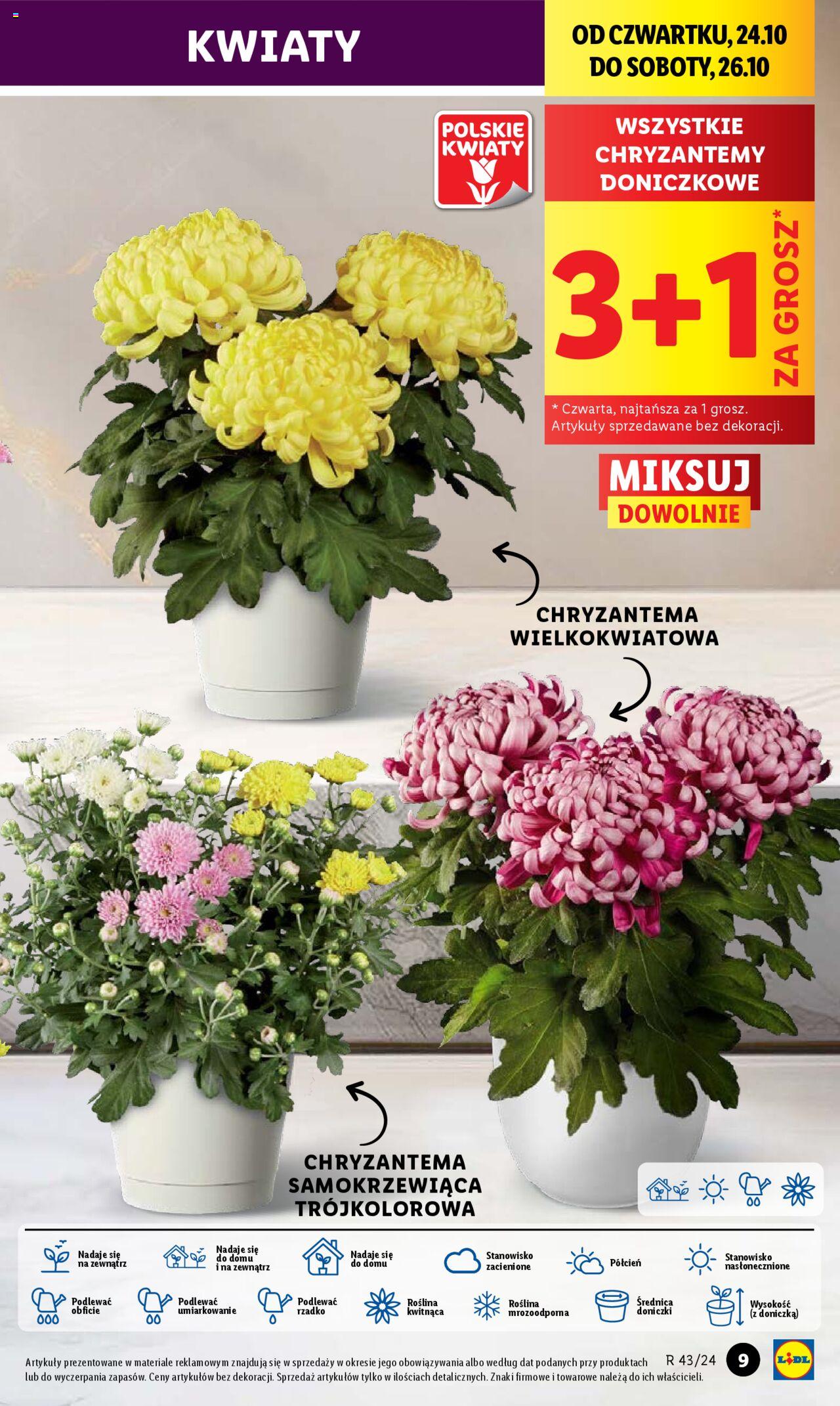 LIDL gazetka ważna od 24.10.2024 do 26.10.2024 strona 9
