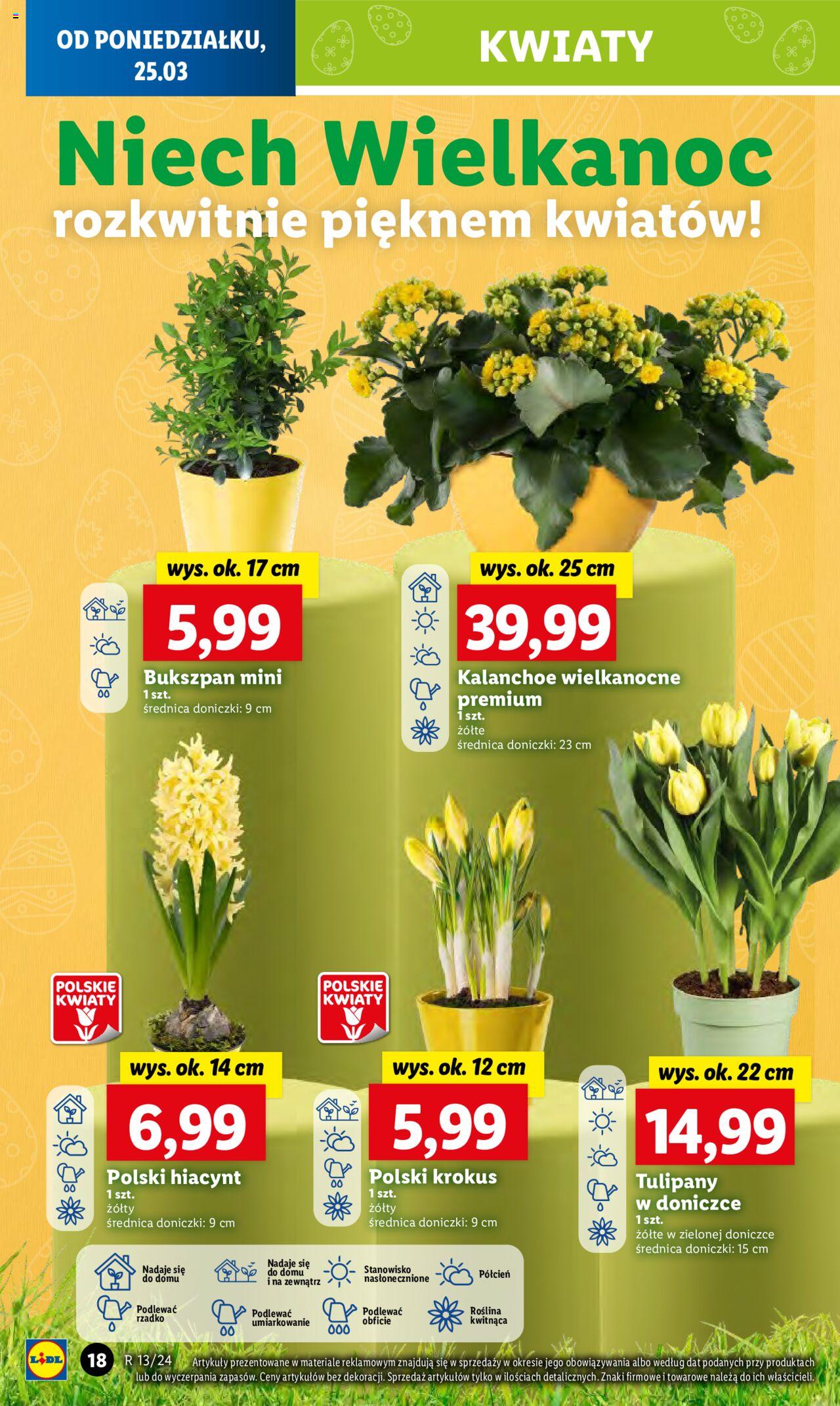 LIDL gazetka ważna od 25.03.2024 do 27.03.2024 strona 22