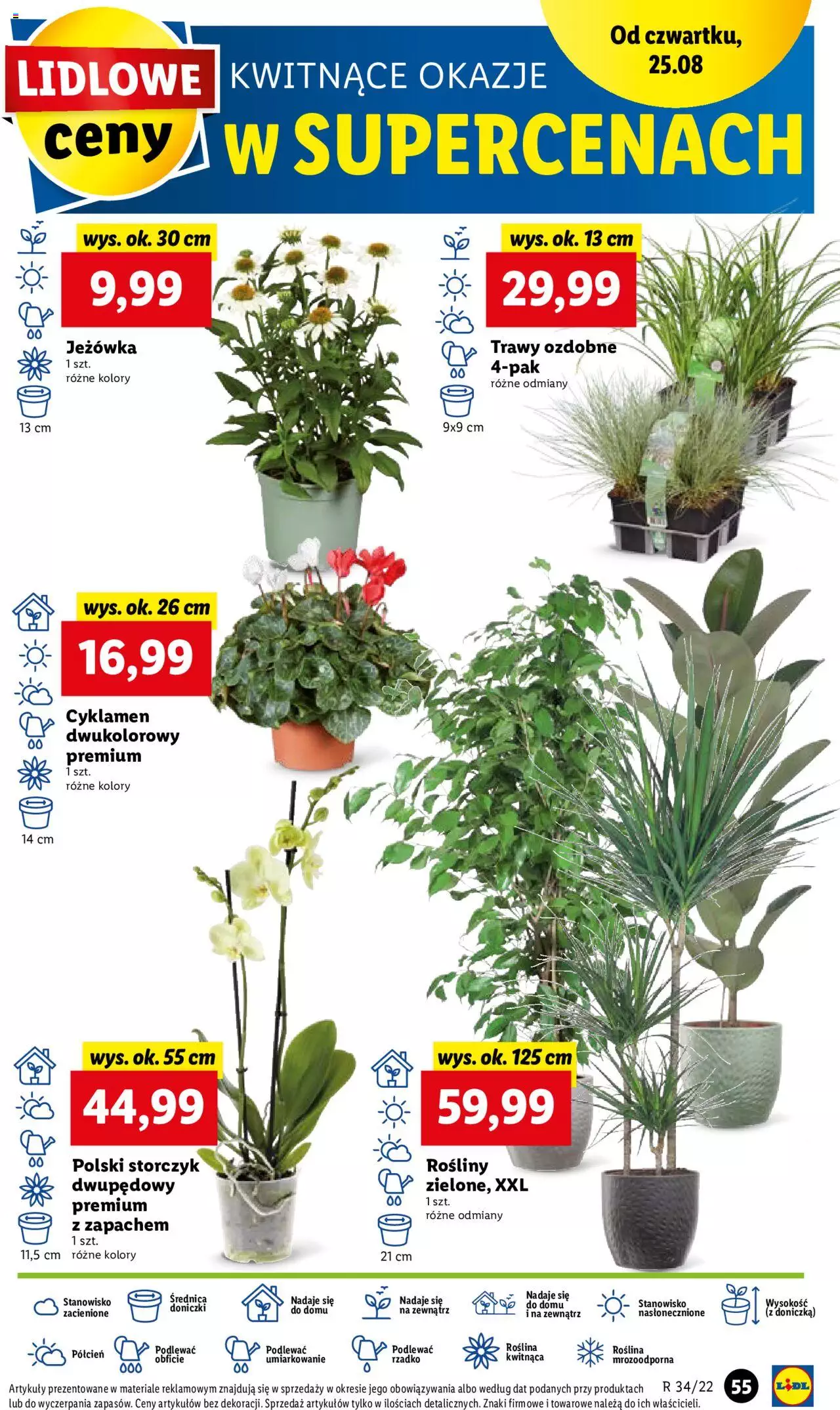 Lidl gazetka ważna od 25.08.2022 do 28.08.2022 strona 55