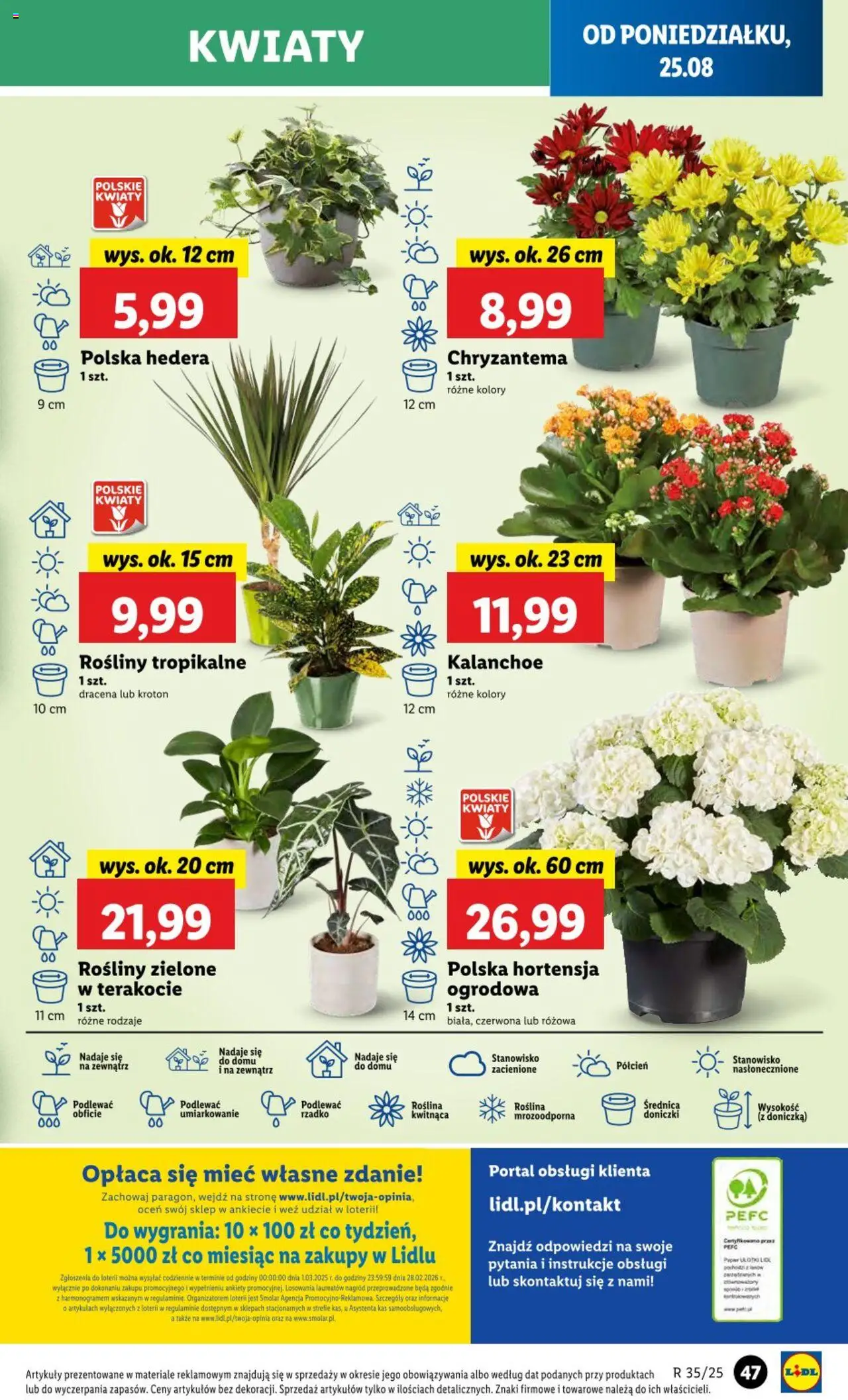 LIDL gazetka ważna od 25.08.2025 do  27.08.2025 strona 52
