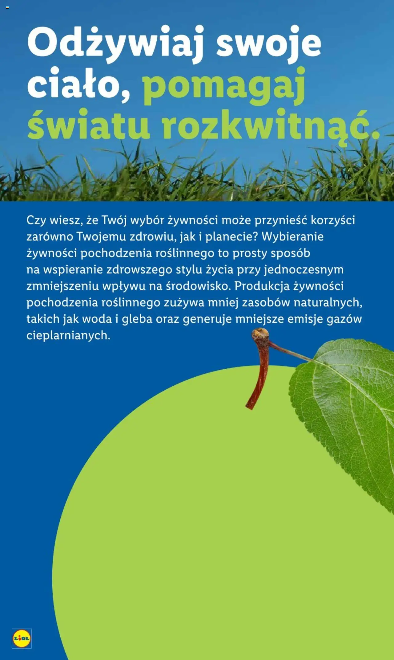 LIDL gazetka ważna od 25.08.2025 do  27.08.2025 strona 63