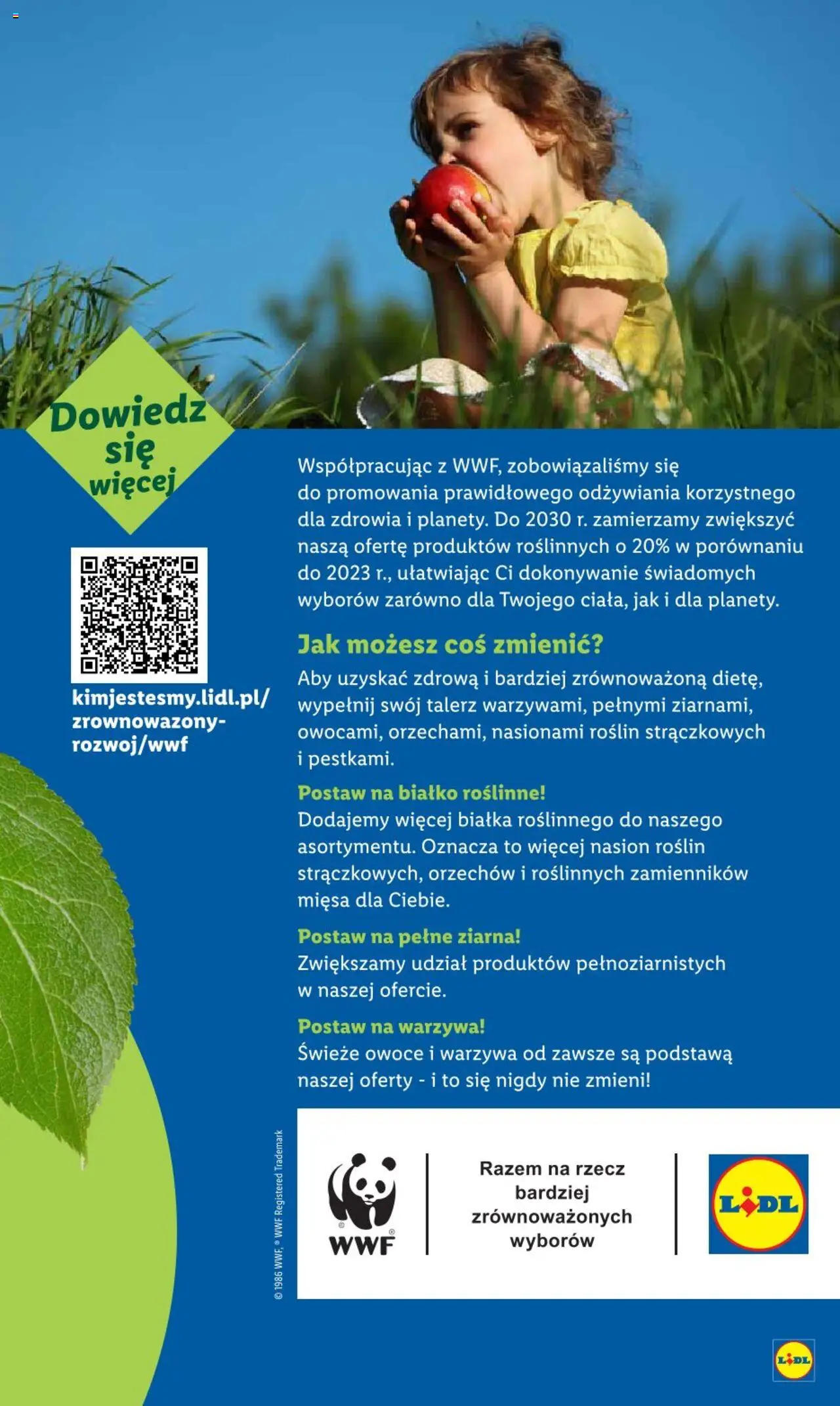 LIDL gazetka ważna od 25.08.2025 do  27.08.2025 strona 64