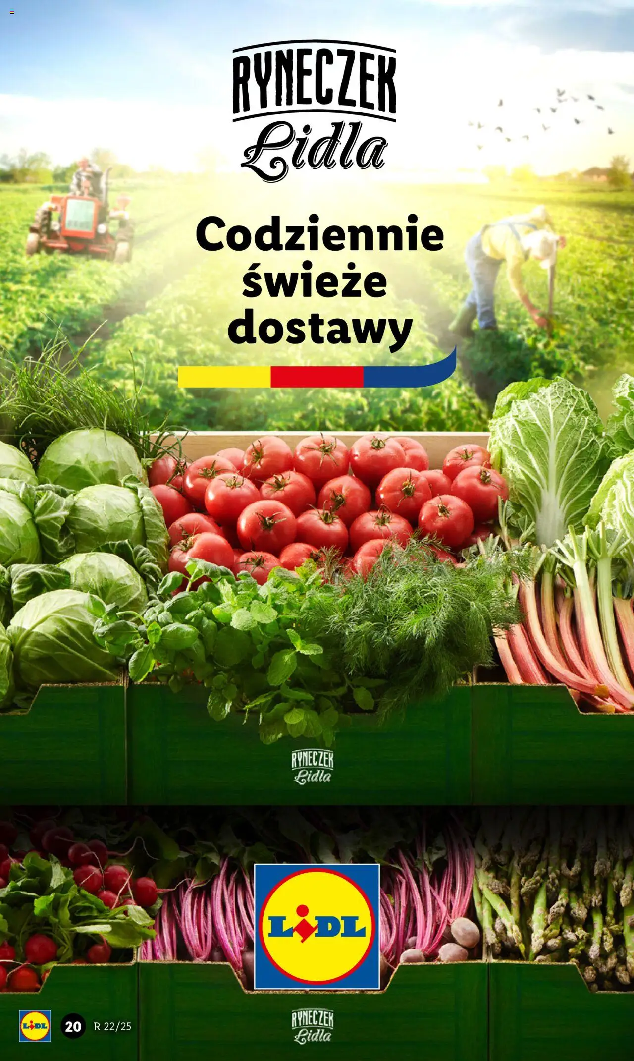 LIDL gazetka ważna od 26.05.2025 do 28.05.2025 strona 22