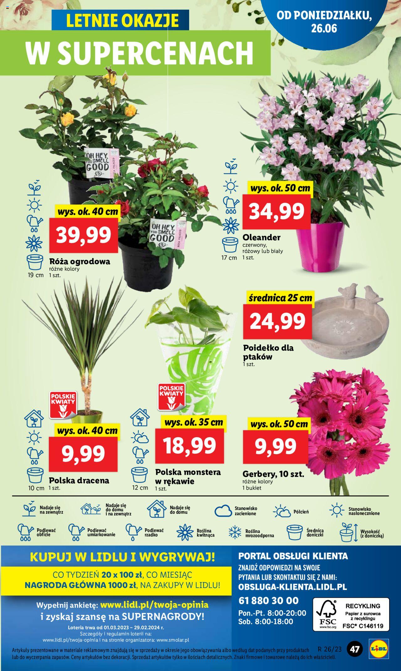 LIDL gazetka ważna od 26.06.2023 do 28.06.2023 strona 49
