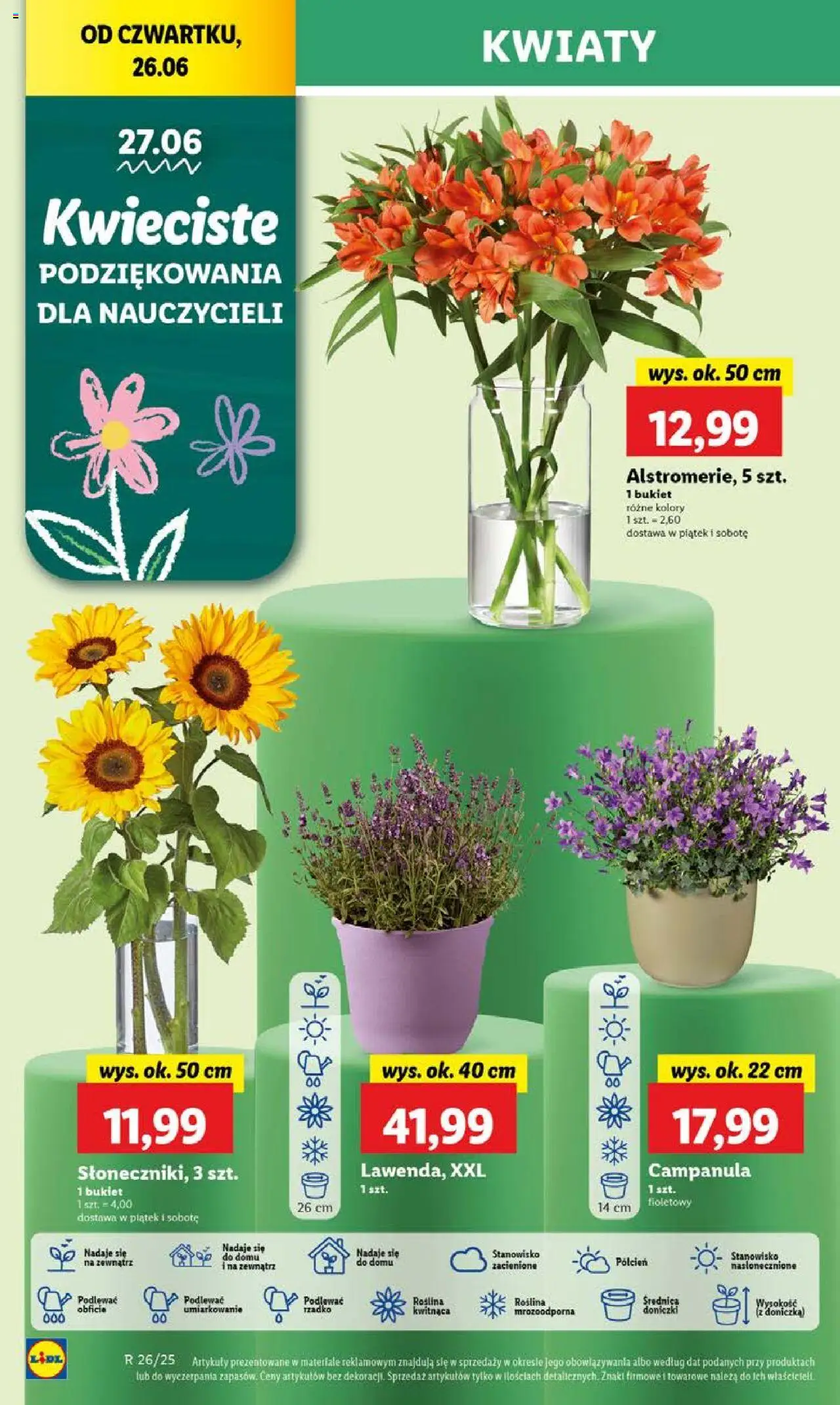 LIDL gazetka ważna od 26.06.2025 do 29.06.2025 strona 56
