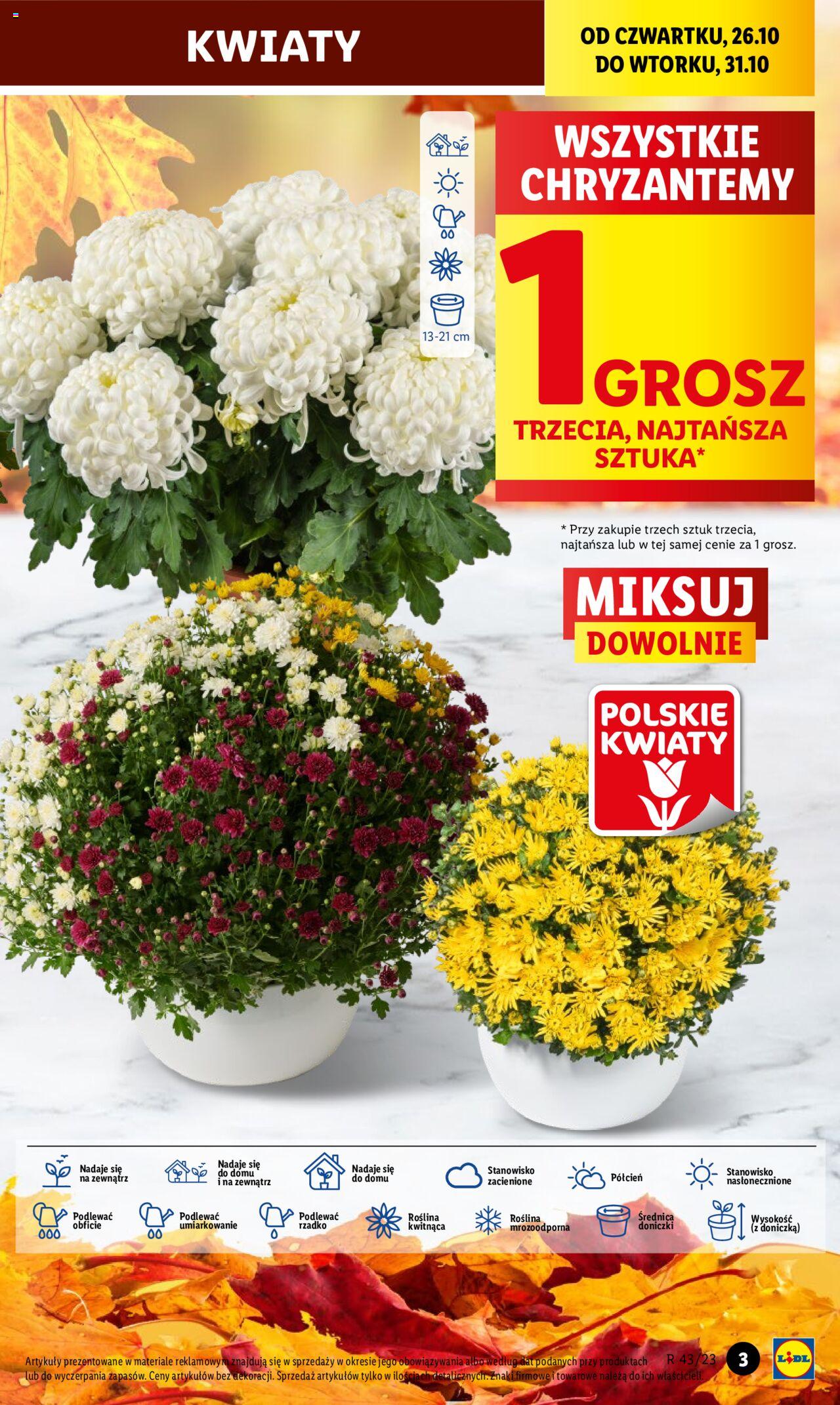 LIDL gazetka ważna od 26.10.2023 do 28.10.2023 strona 3