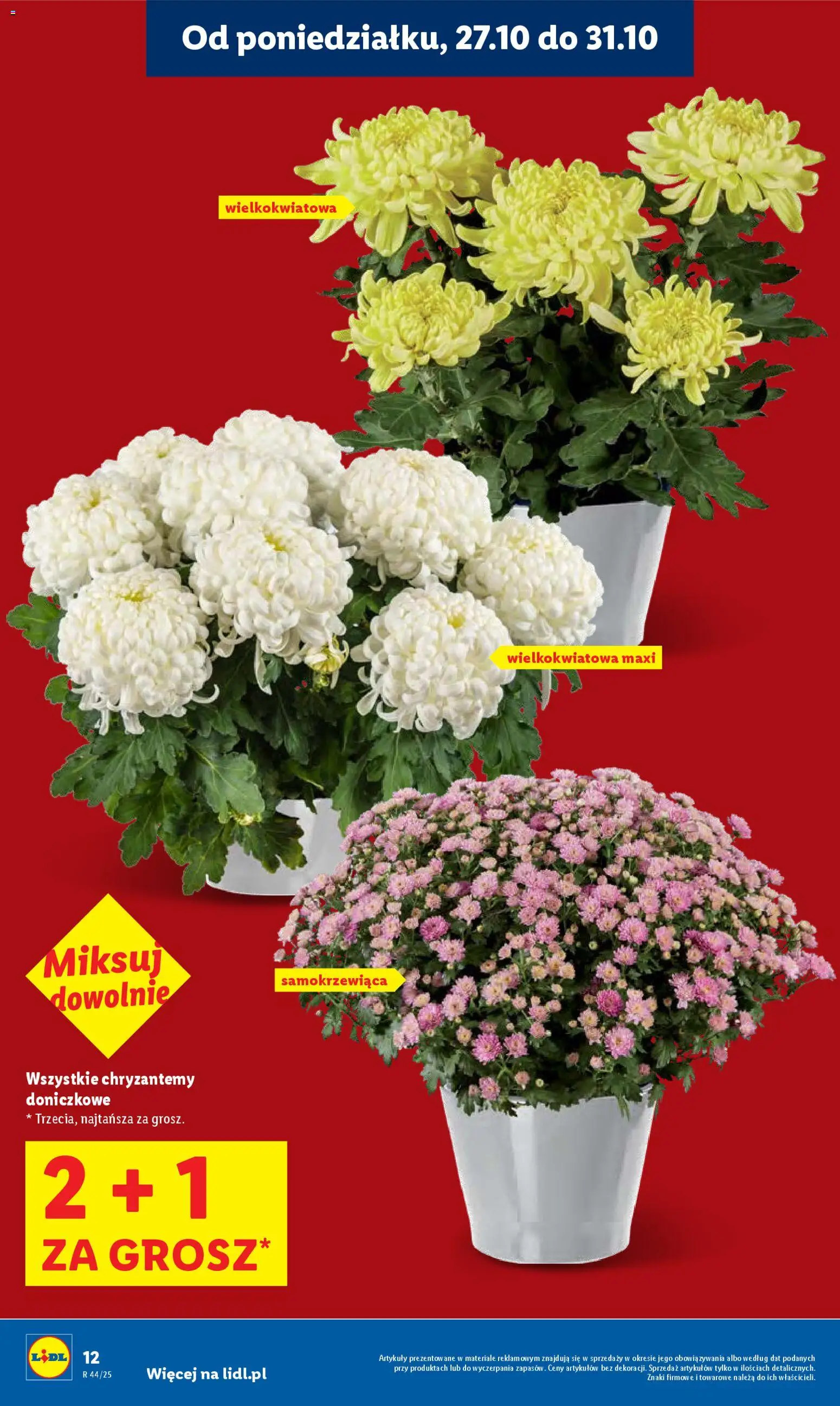 LIDL gazetka ważna od  27.10.2025 do 29.10.2025 strona 12