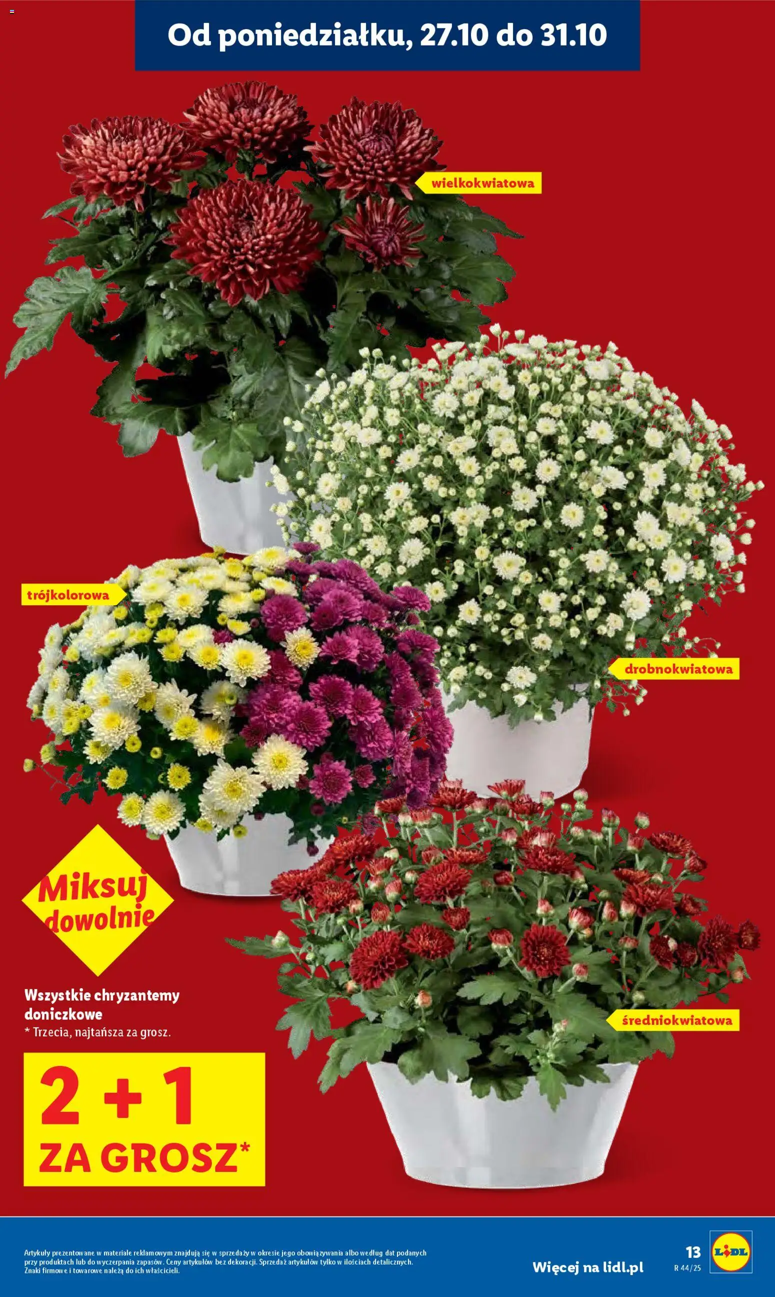 LIDL gazetka ważna od  27.10.2025 do 29.10.2025 strona 13
