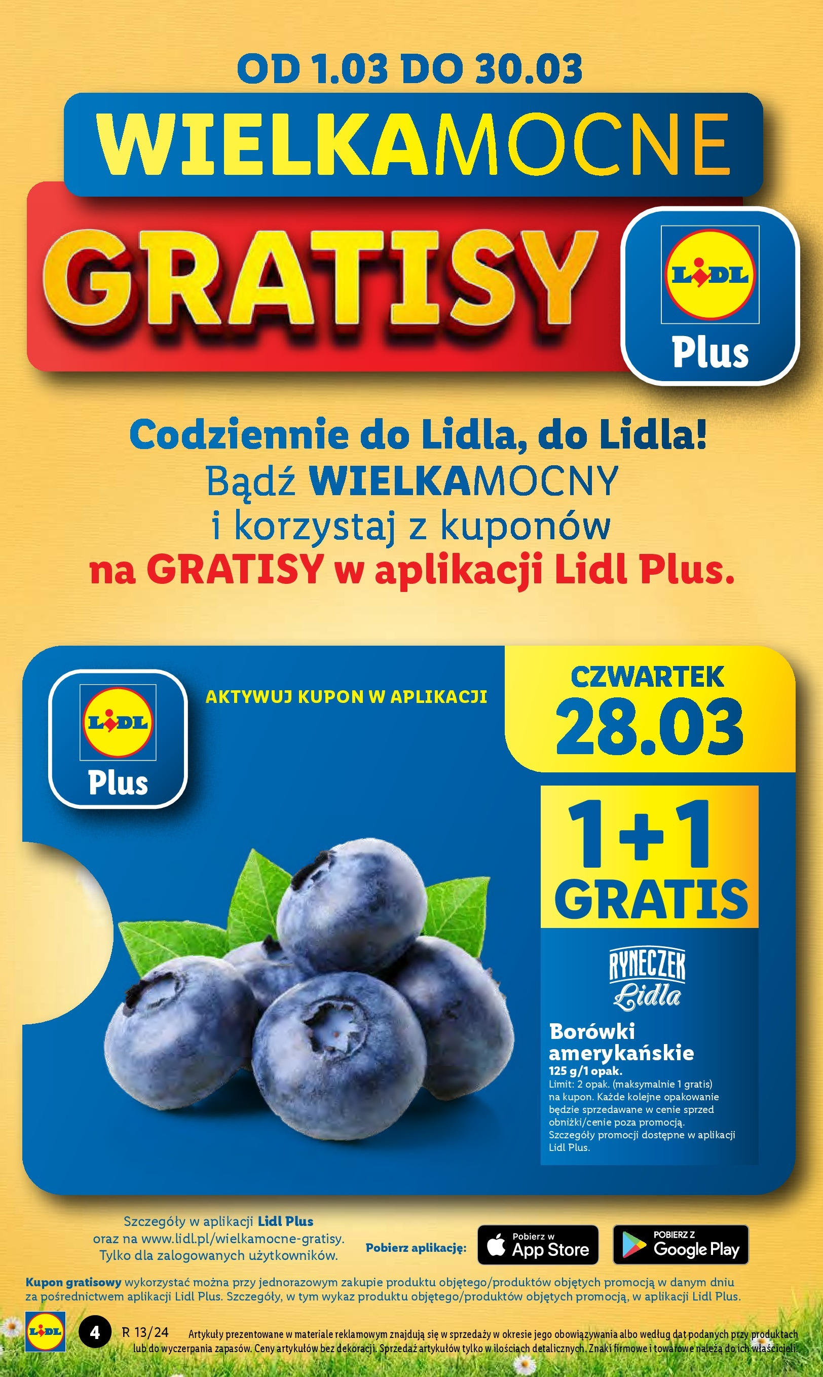 LIDL gazetka ważna od 28.03.2024 do 30.03.2024 strona 6