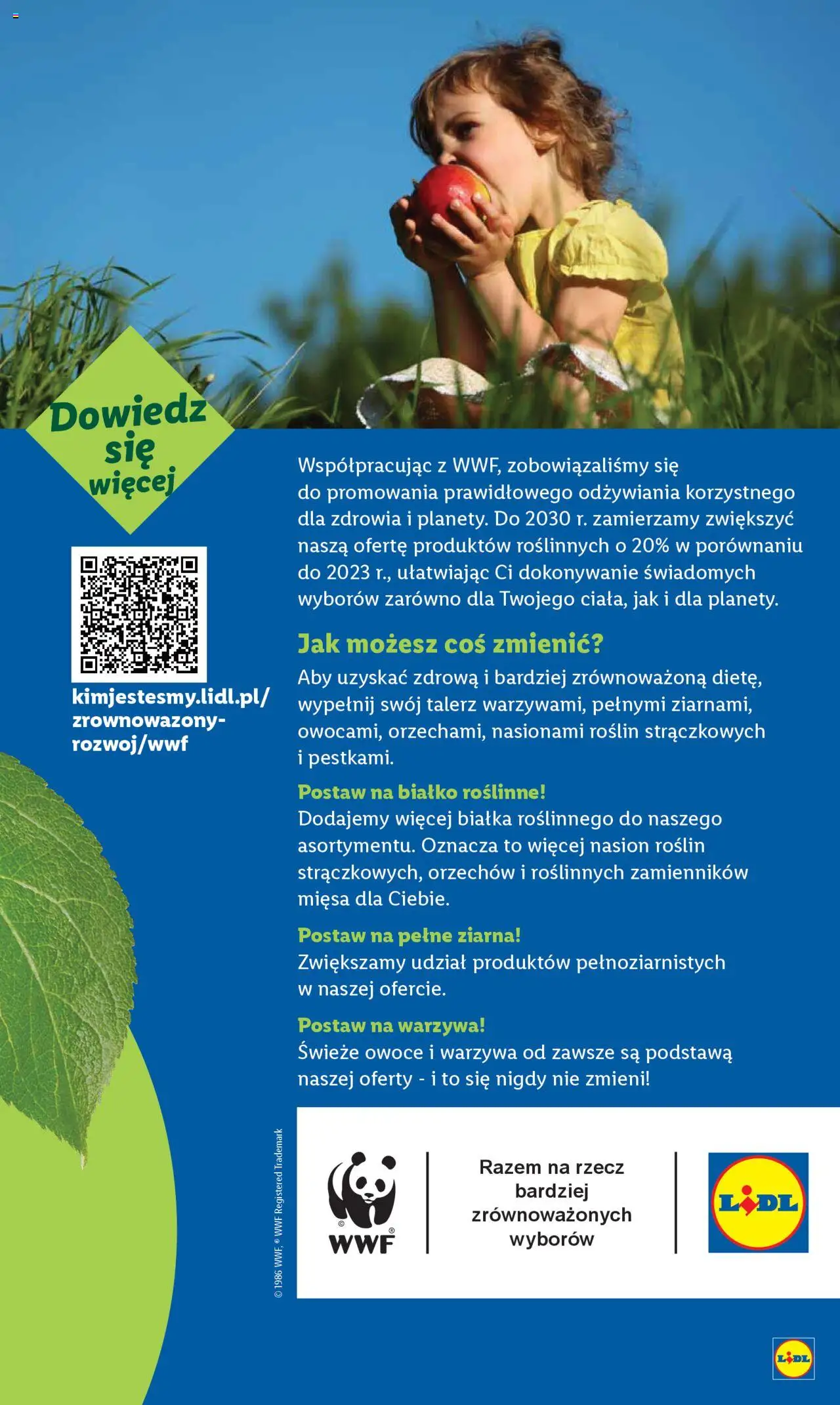 LIDL gazetka ważna od 28.08.2025 do 31.08.2025 strona 55