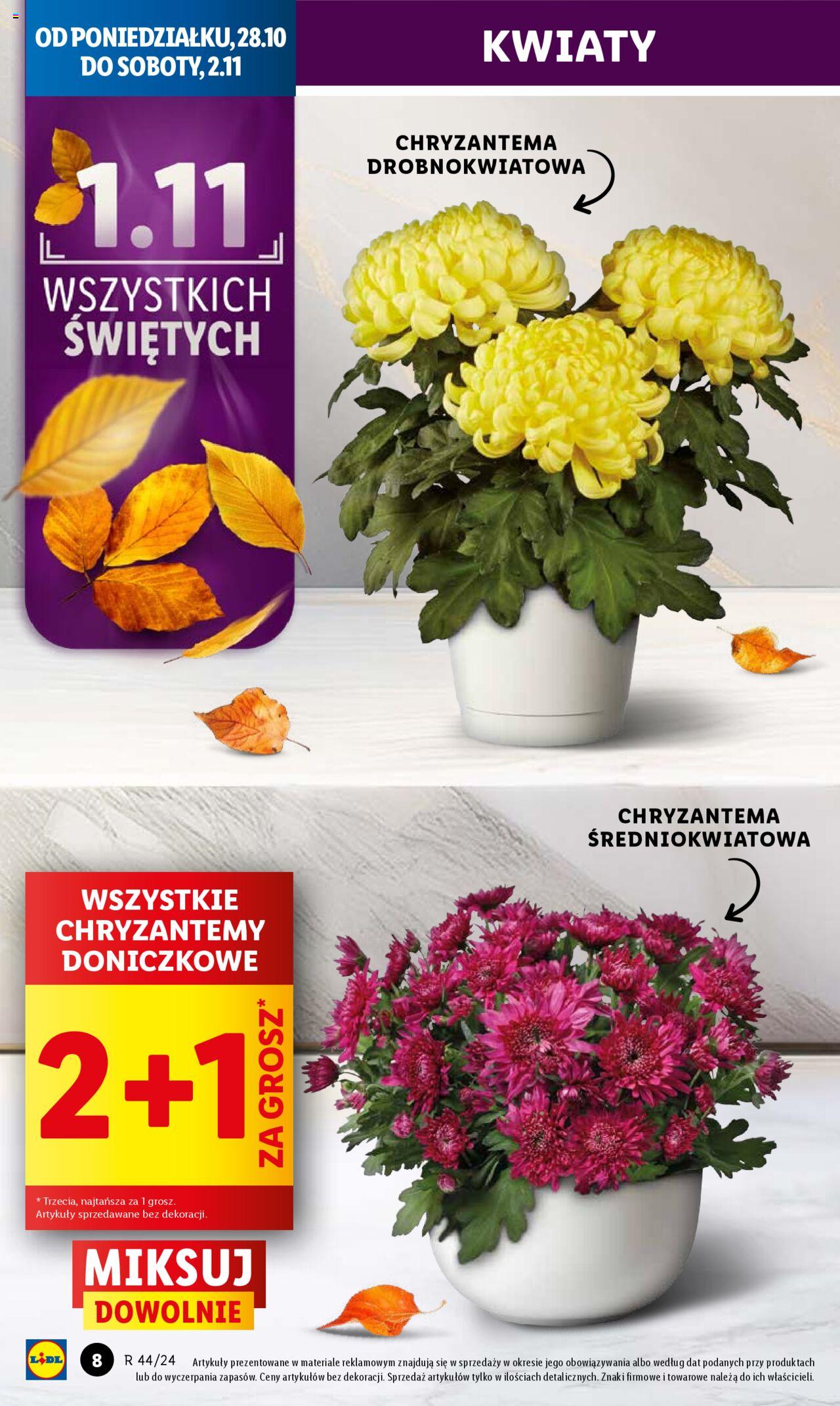 LIDL gazetka ważna od 28.10.2024 do 29.10.2024 strona 8