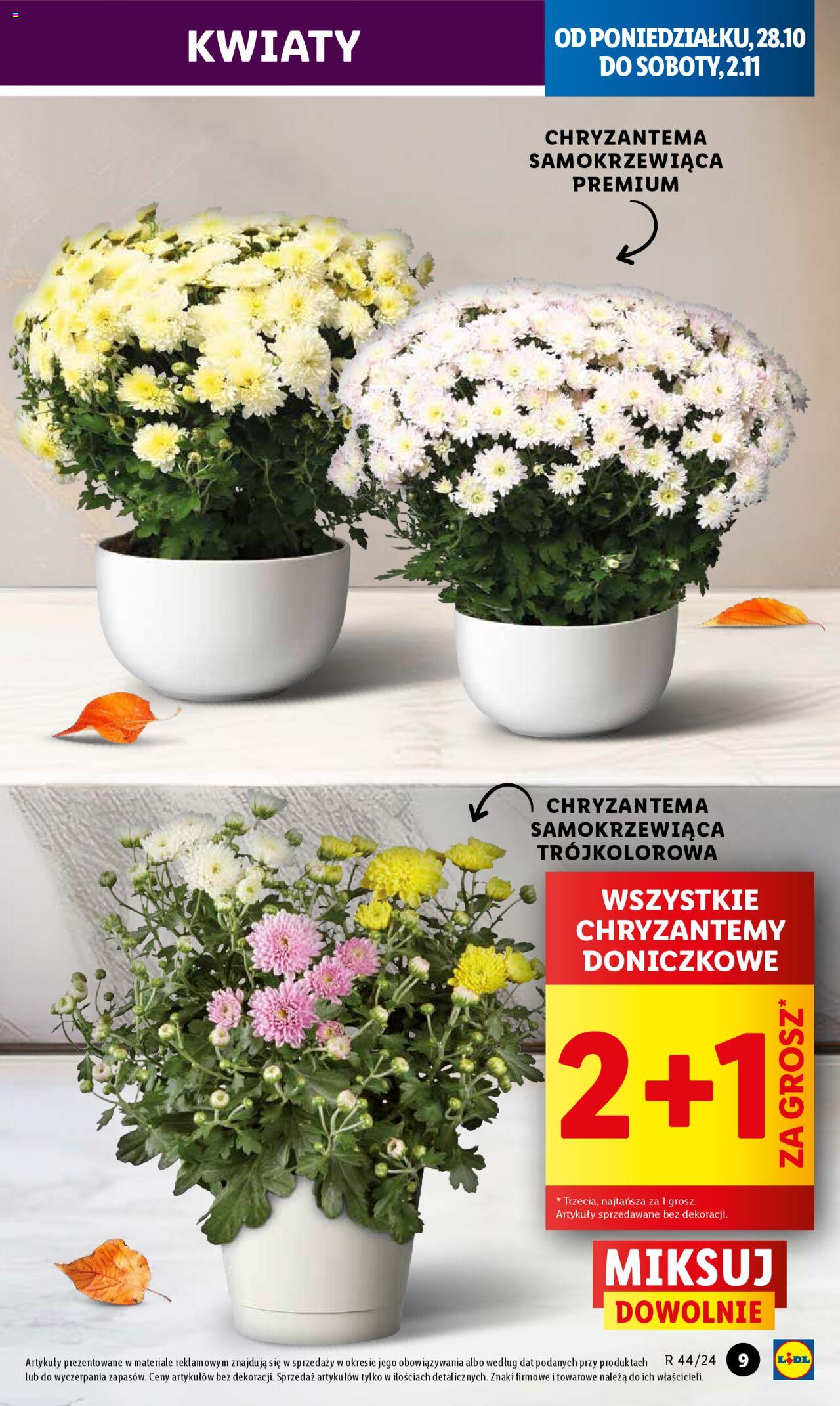 LIDL gazetka ważna od 28.10.2024 do 29.10.2024 strona 9