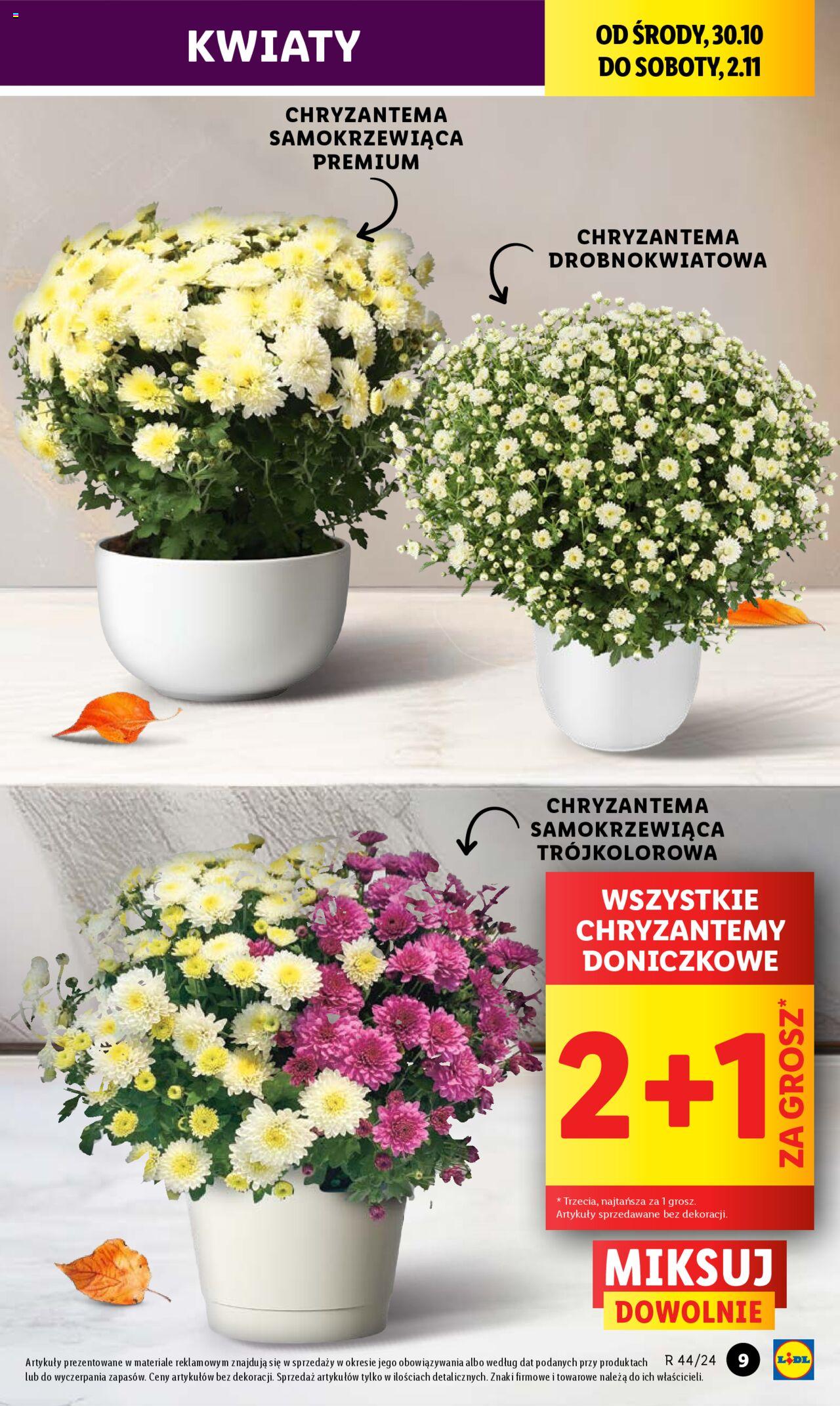 LIDL gazetka ważna od 30.10.2024 do 02.11.2024 strona 9