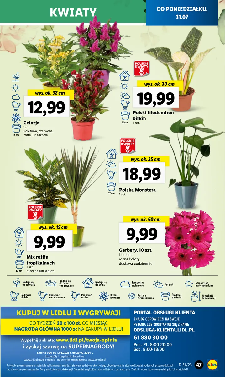 Lidl gazetka ważna od 31.07.2023 do 05.08.2023 strona 58