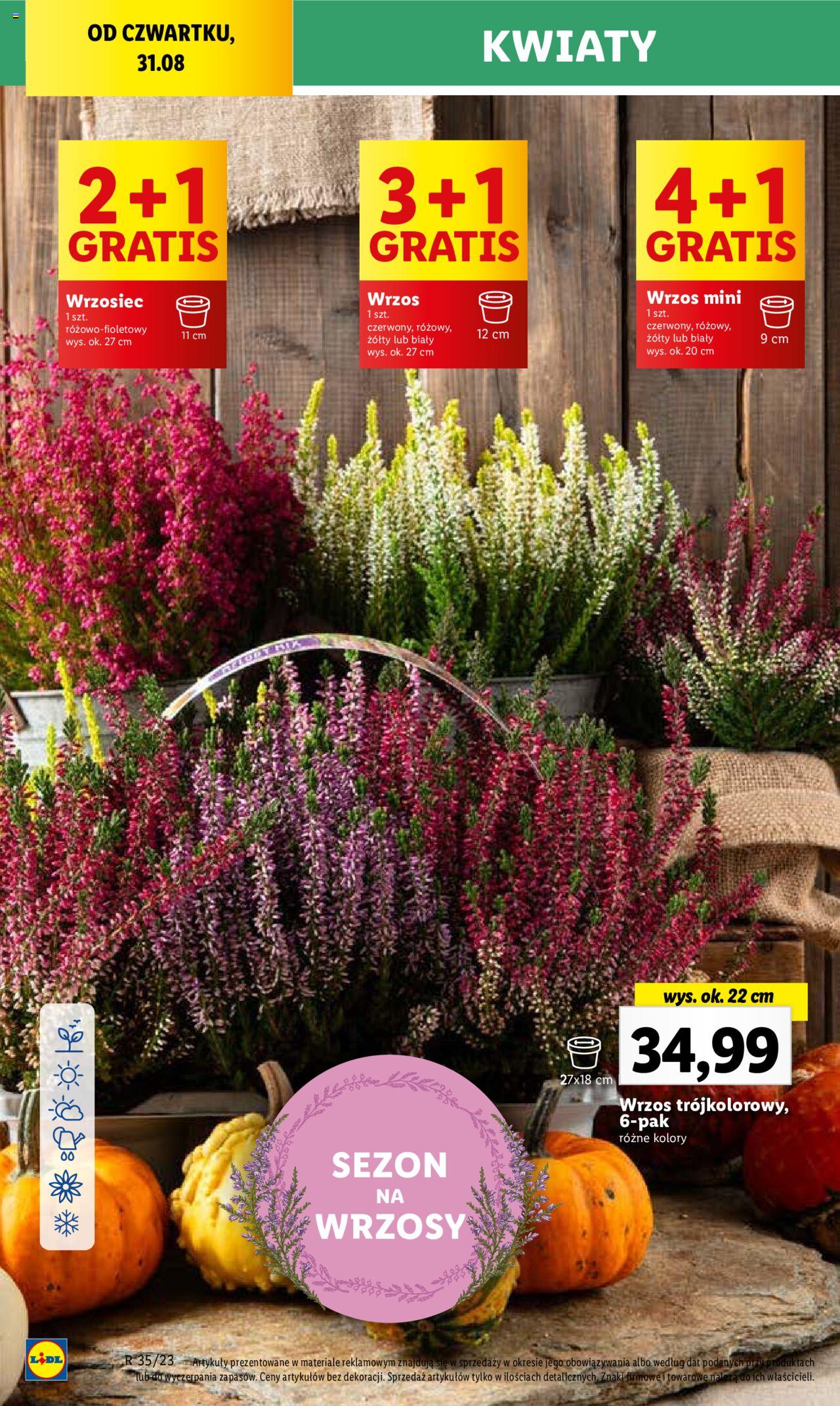LIDL gazetka ważna od 31.08.2023 do 02.09.2023 strona 66
