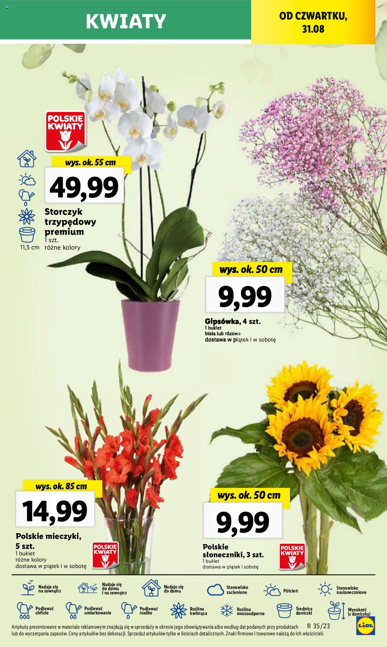 LIDL gazetka ważna od 31.08.2023 do 02.09.2023 strona 67