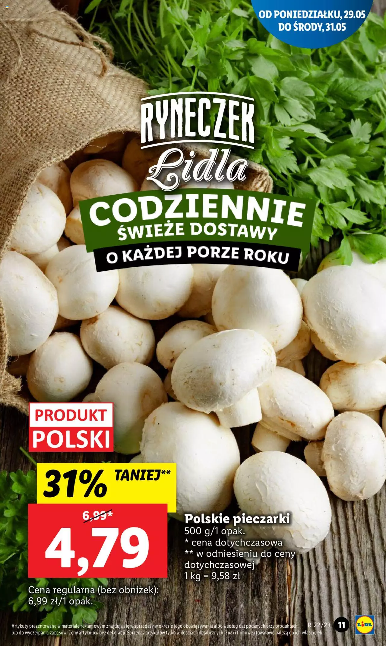 LIDL gazetka ważna od od 29.05.2023 do 31.05.2023 strona 21
