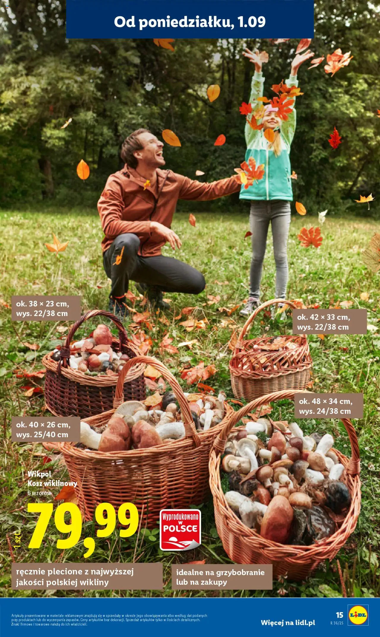 LIDL Katalog gazetka ważna od 01.09.2025 do 06.09.2025 strona 17