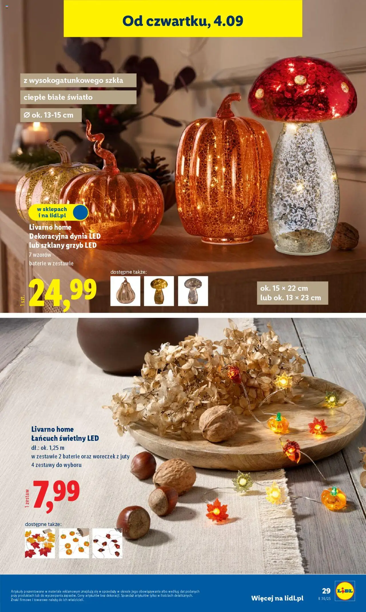 LIDL Katalog gazetka ważna od 01.09.2025 do 06.09.2025 strona 31