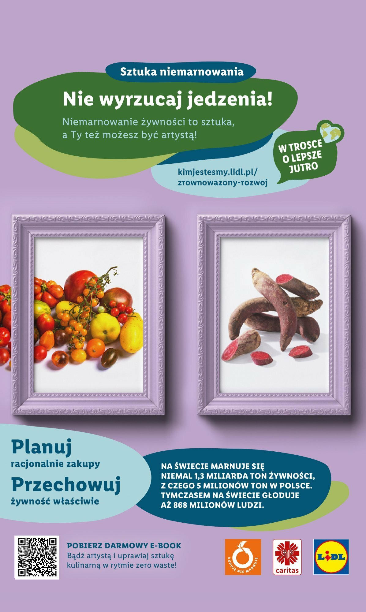 LIDL Katalog gazetka ważna od 09.10.2023 do 14.10.2023 strona 47