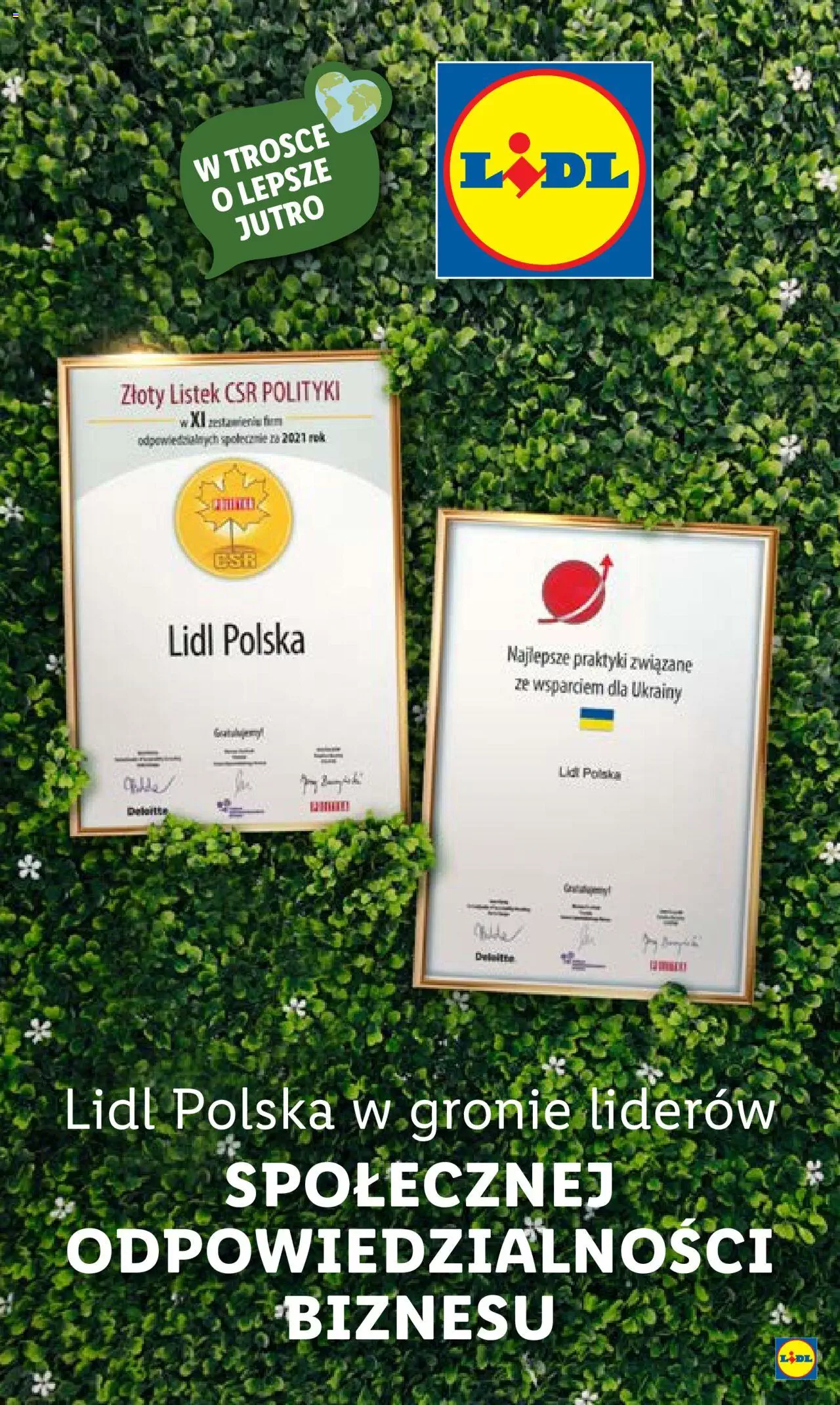 Lidl Katalog gazetka ważna od 10.10.2022 do 15.10.2022 strona 47