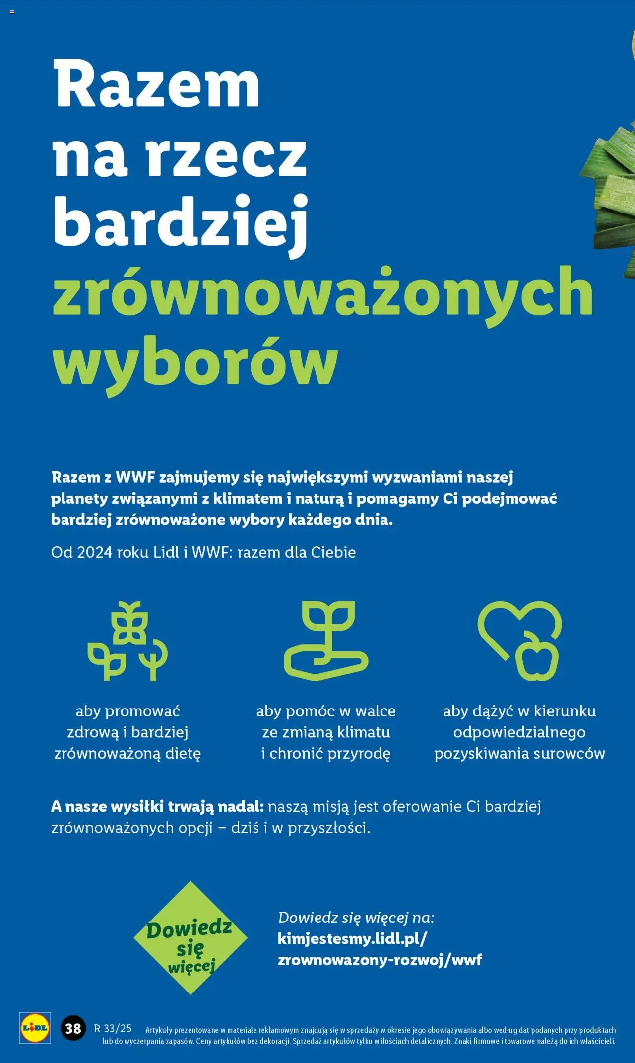 LIDL Katalog gazetka ważna od  11.08.2025 do 16.08.2025 strona 41