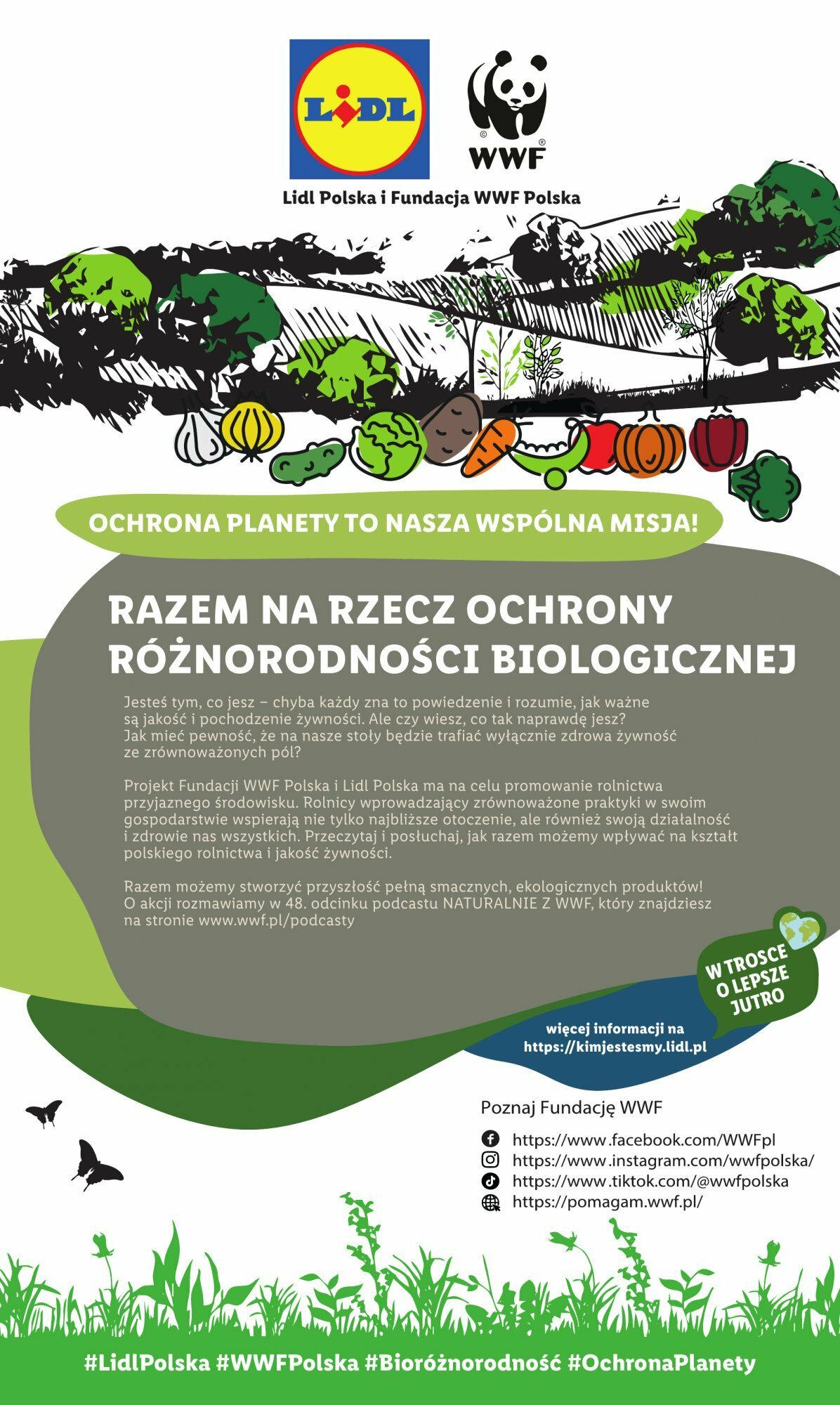 Lidl Katalog gazetka ważna  od  11.12.2023 do 17.12.2023 strona 4