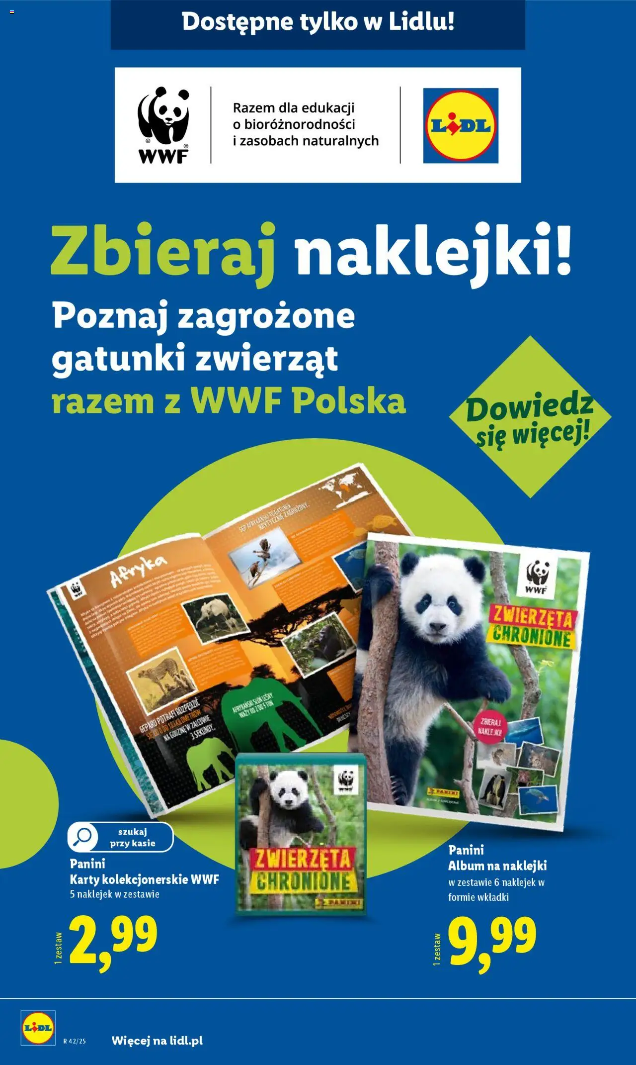 LIDL Katalog gazetka ważna od 13.10.2025 do 18.10.2025 strona 58