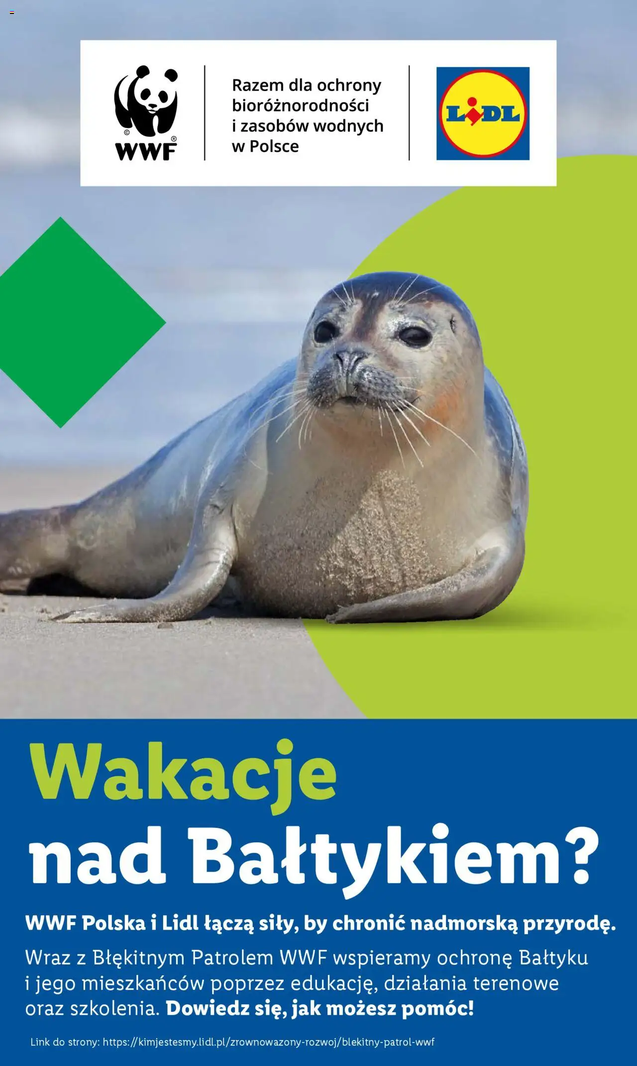 LIDL Katalog gazetka ważna od  14.07.2025 do 19.07.2025 strona 50
