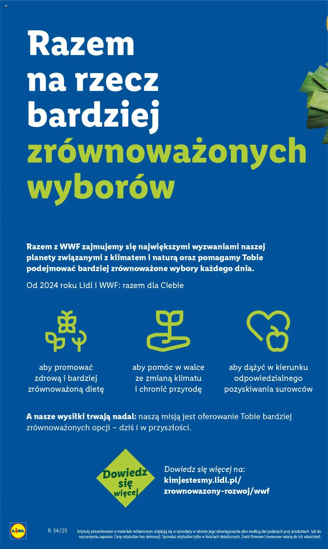 LIDL Katalog gazetka ważna od 18.08.2025 do 23.08.2025 strona 50