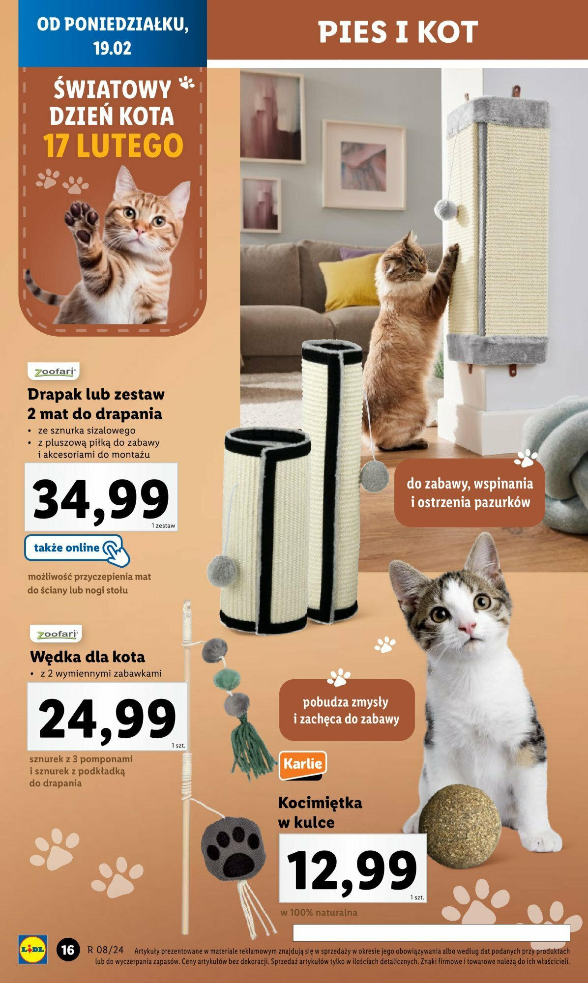 LIDL Katalog gazetka ważna od 19.02.2024 do 24.02.2024 strona 18