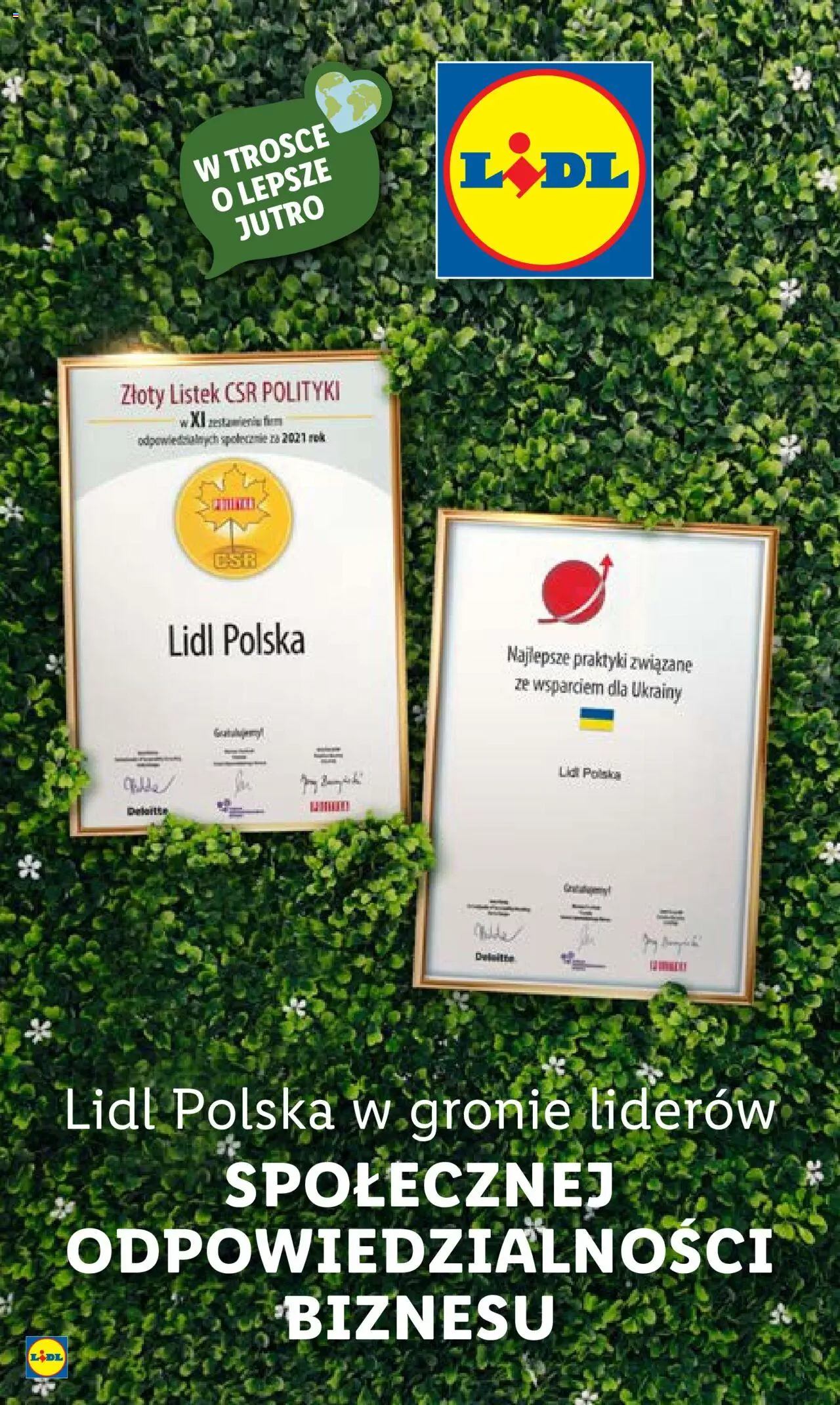 Lidl Katalog gazetka ważna od 20.02.2023 do 25.02.2023 strona 49