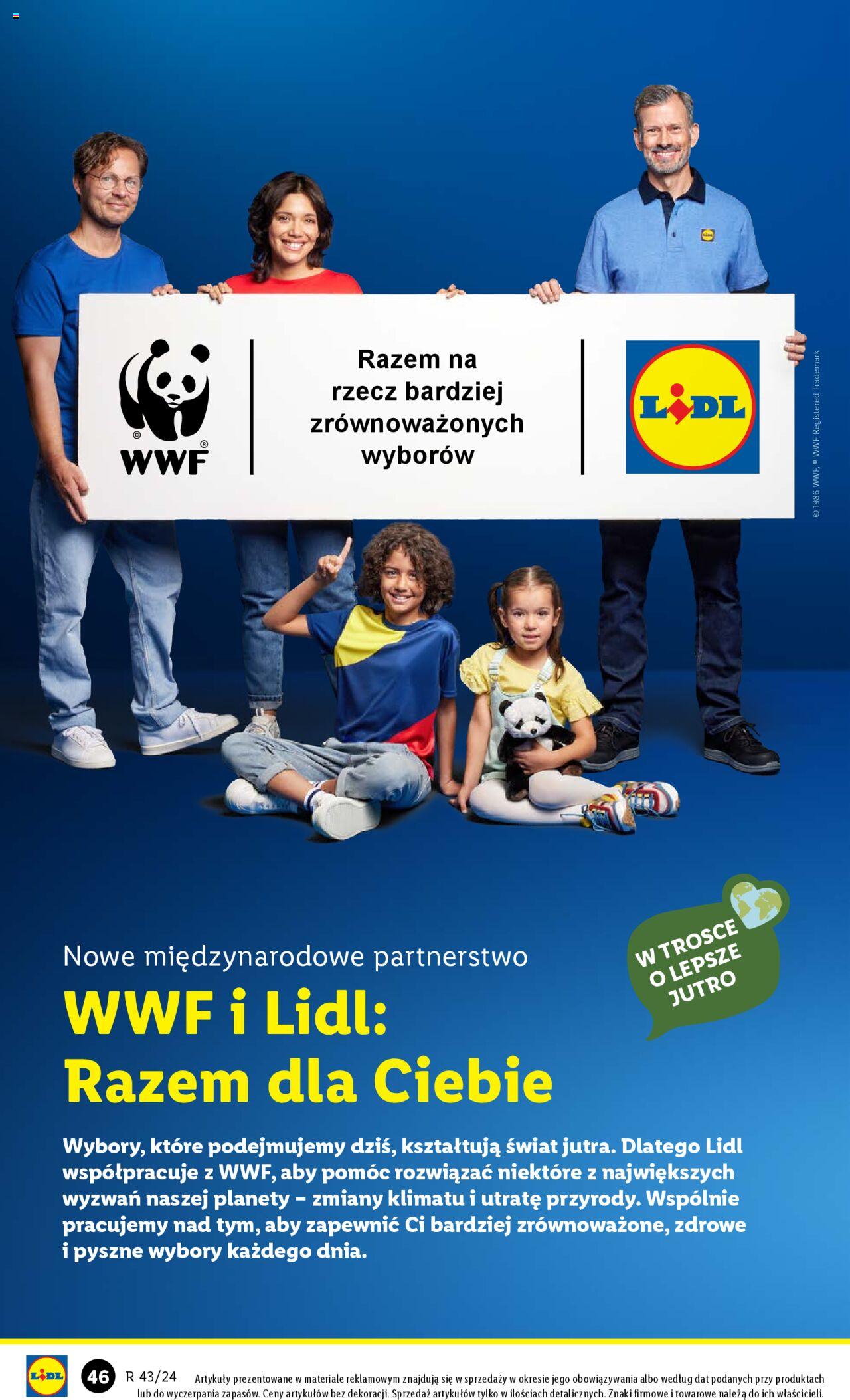 LIDL Katalog gazetka ważna od  21.10.2024 do 26.10.2024 strona 44